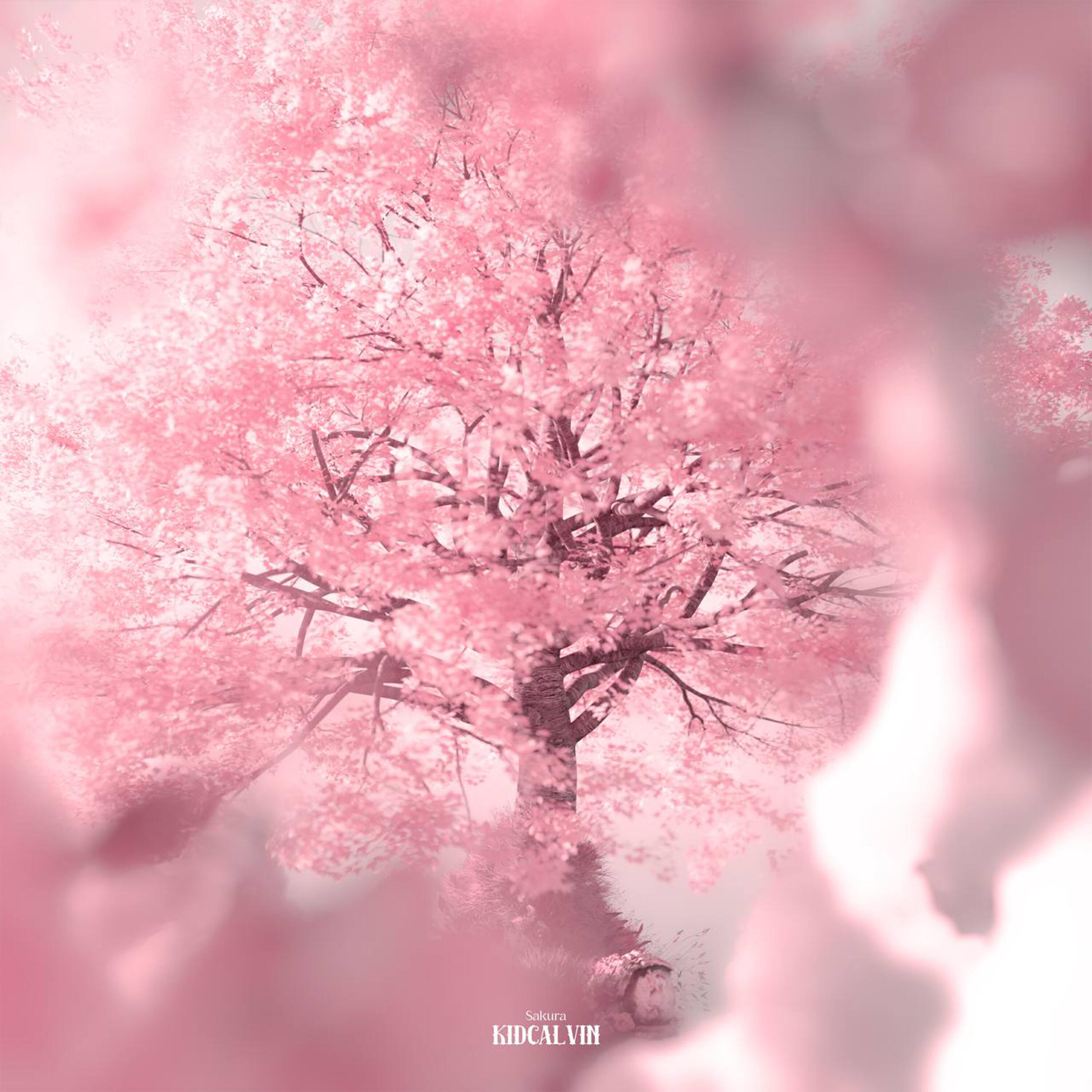 Релиз Sakura