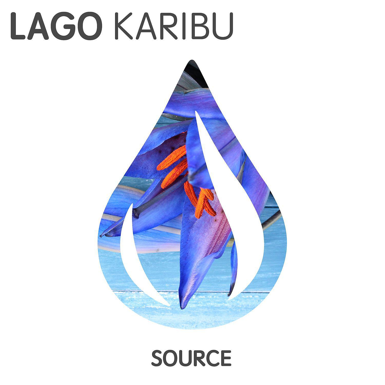 Скачать песню Lago - Karibu (Radio Edit) бесплатно в MP3 для Android и iOS