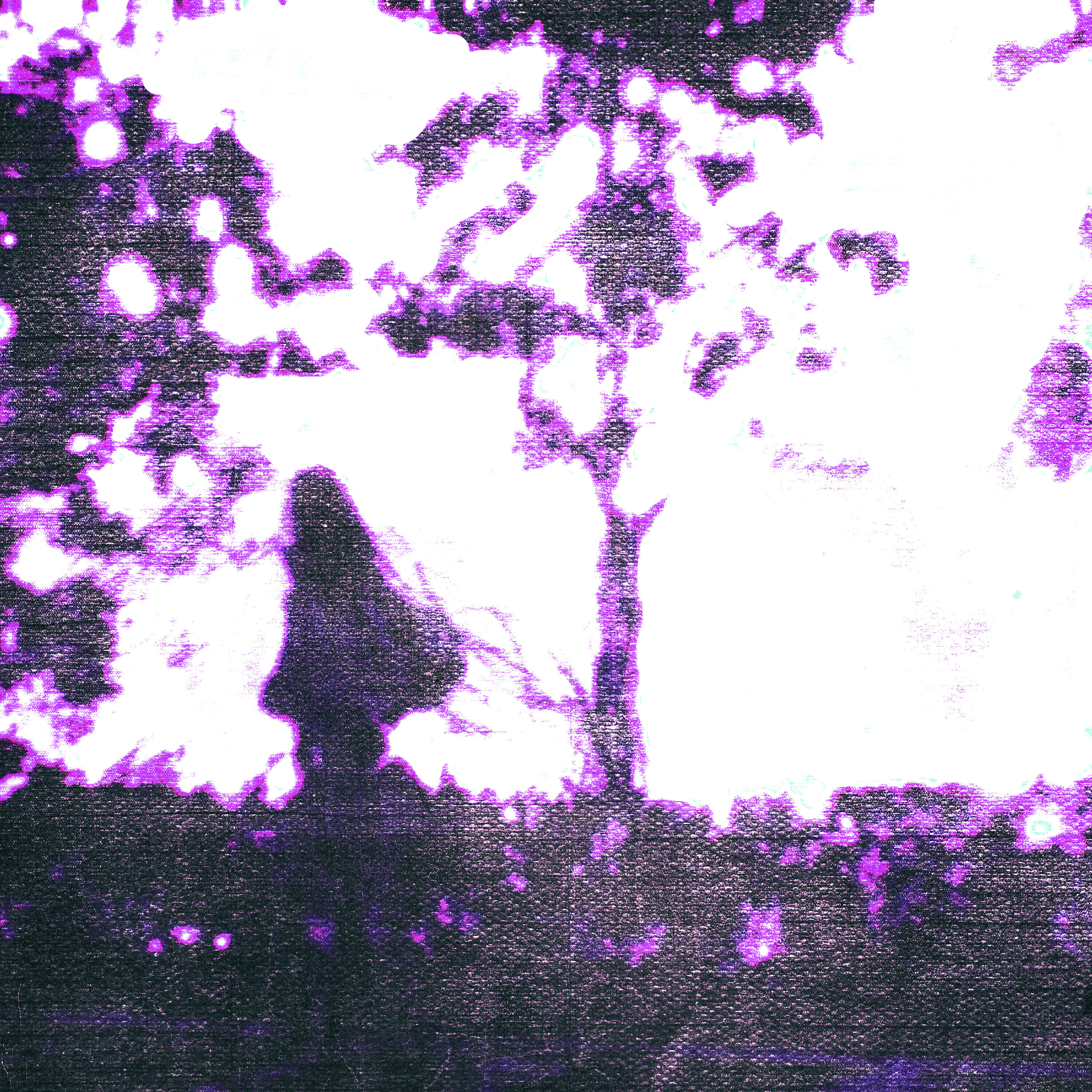 Релиз White Night