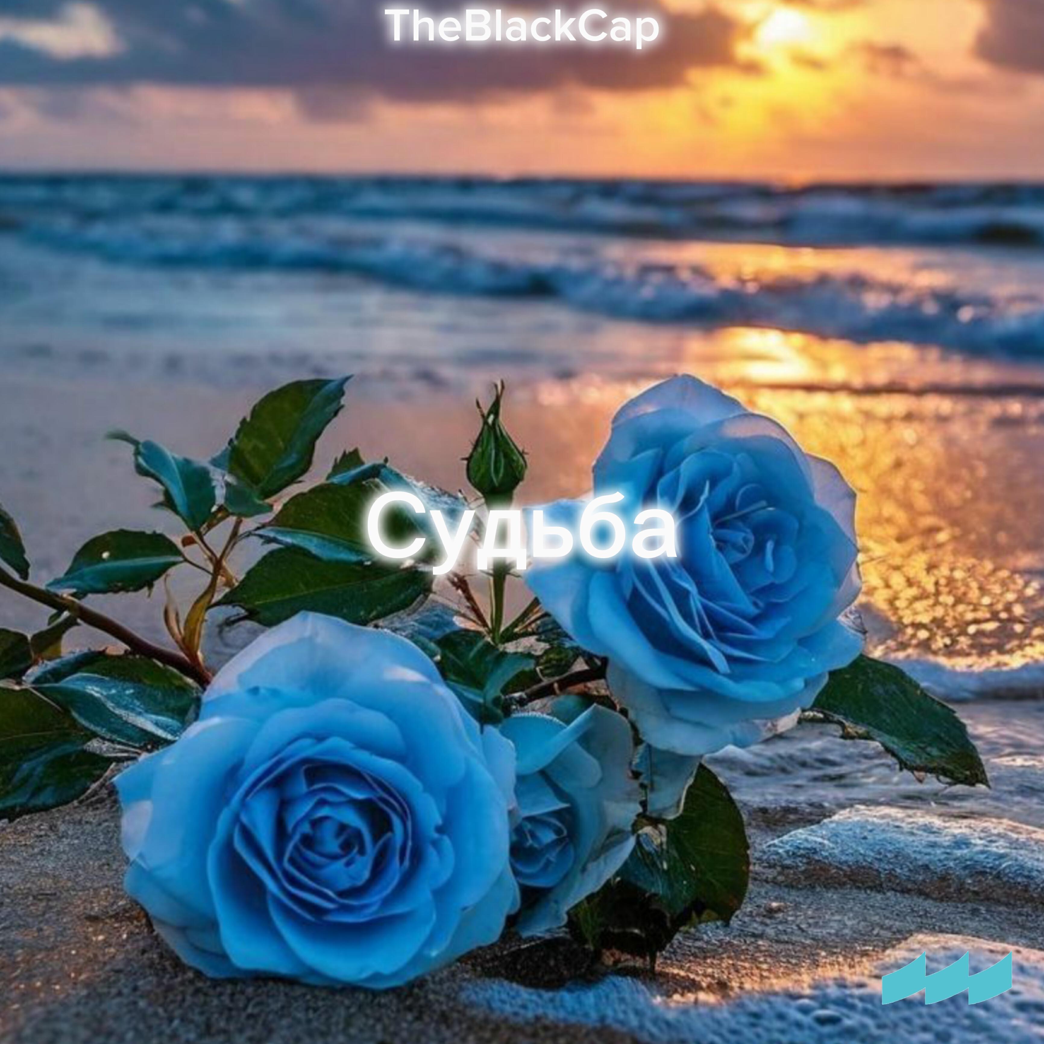 Релиз Судьба