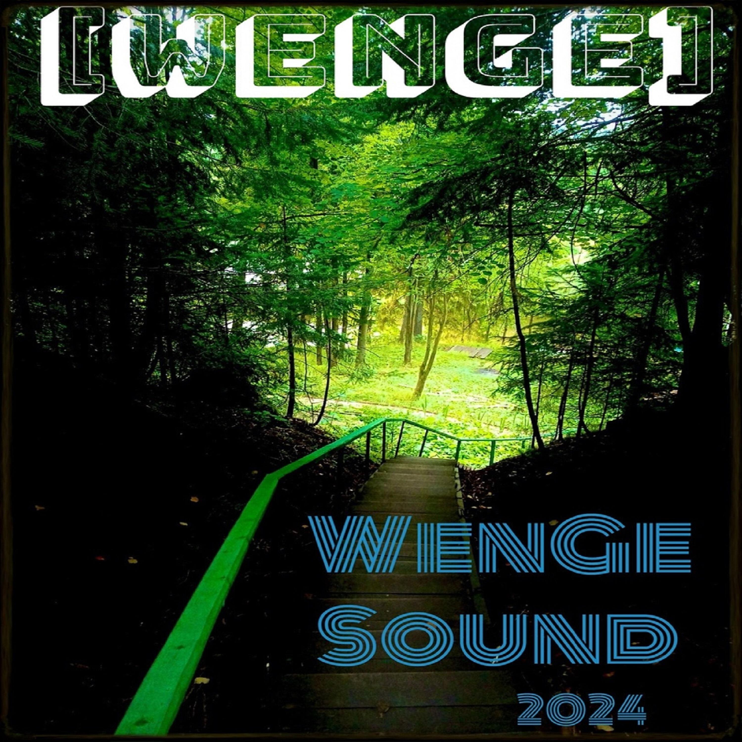 Релиз Wenge Sound