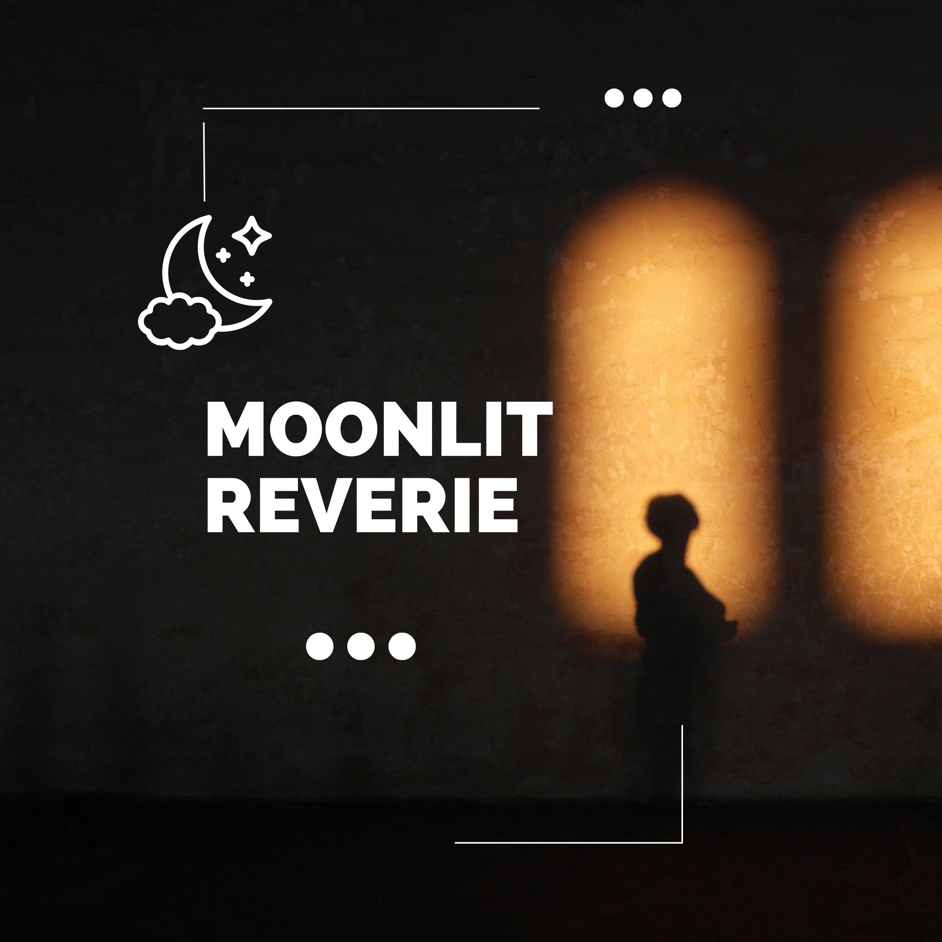 Релиз Moonlit Reverie