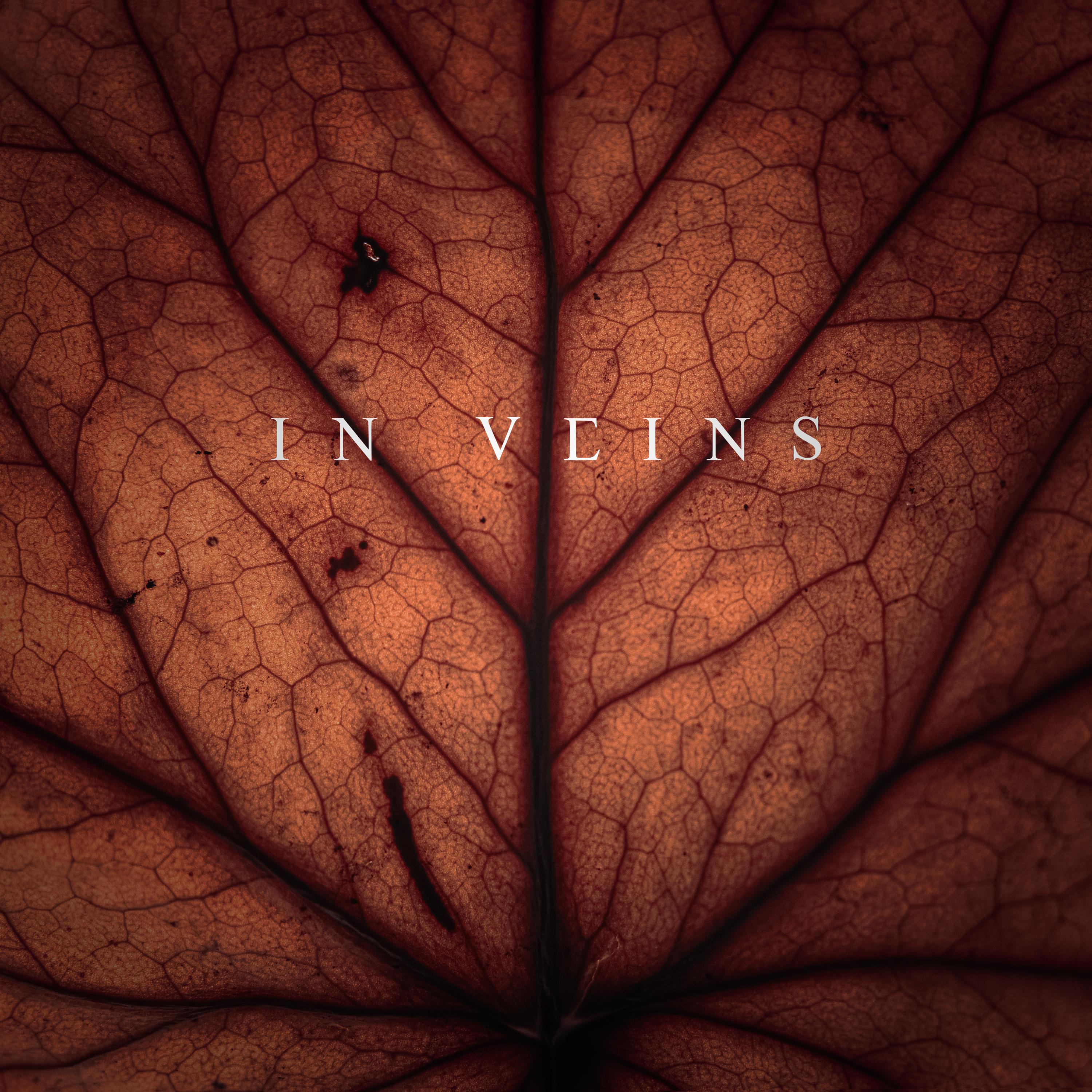 Релиз In veins