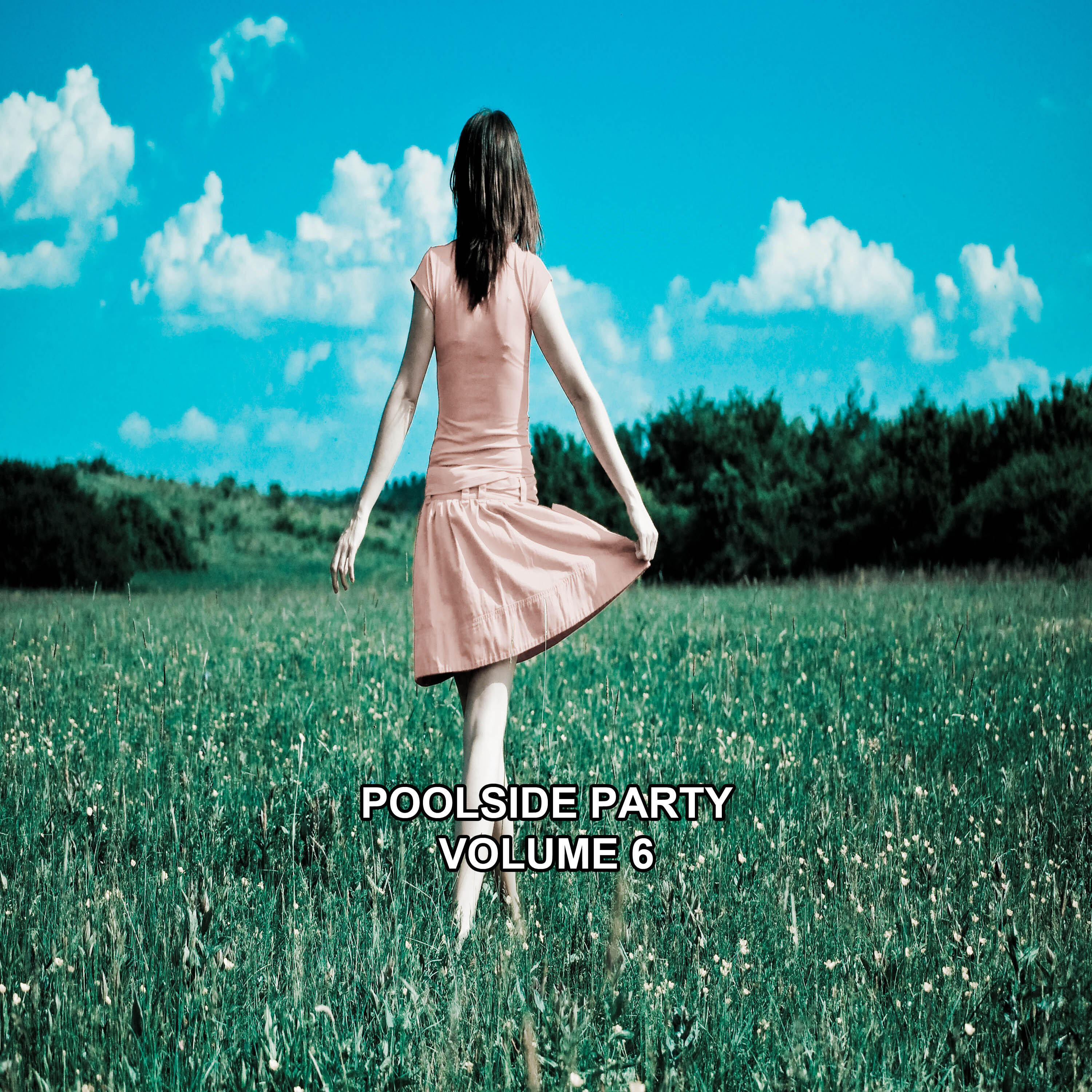 Релиз Poolside Party, Vol. 6