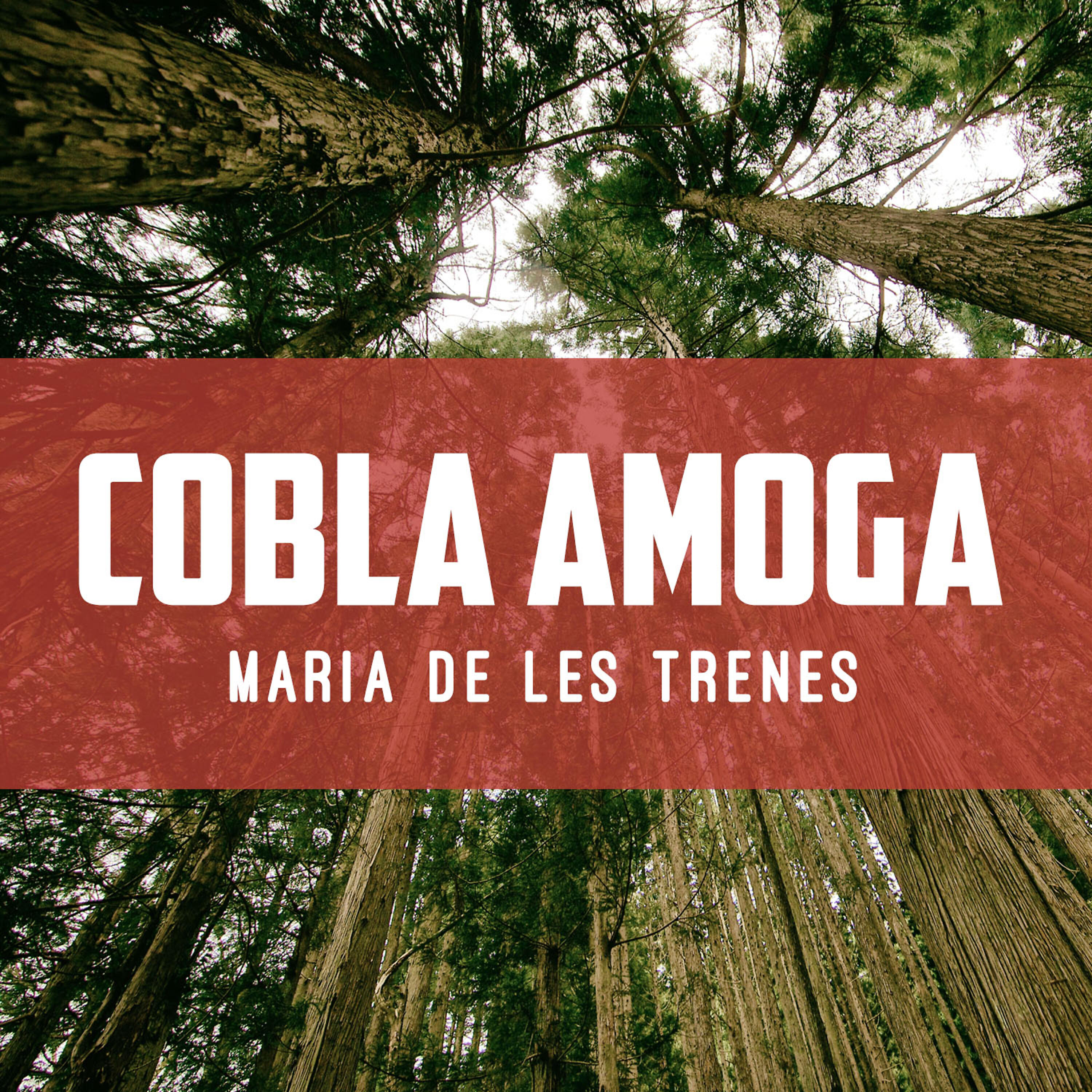 Cobla Amoga