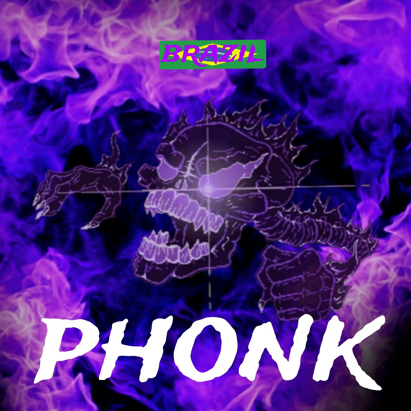 Постер альбома Brasil phonk
