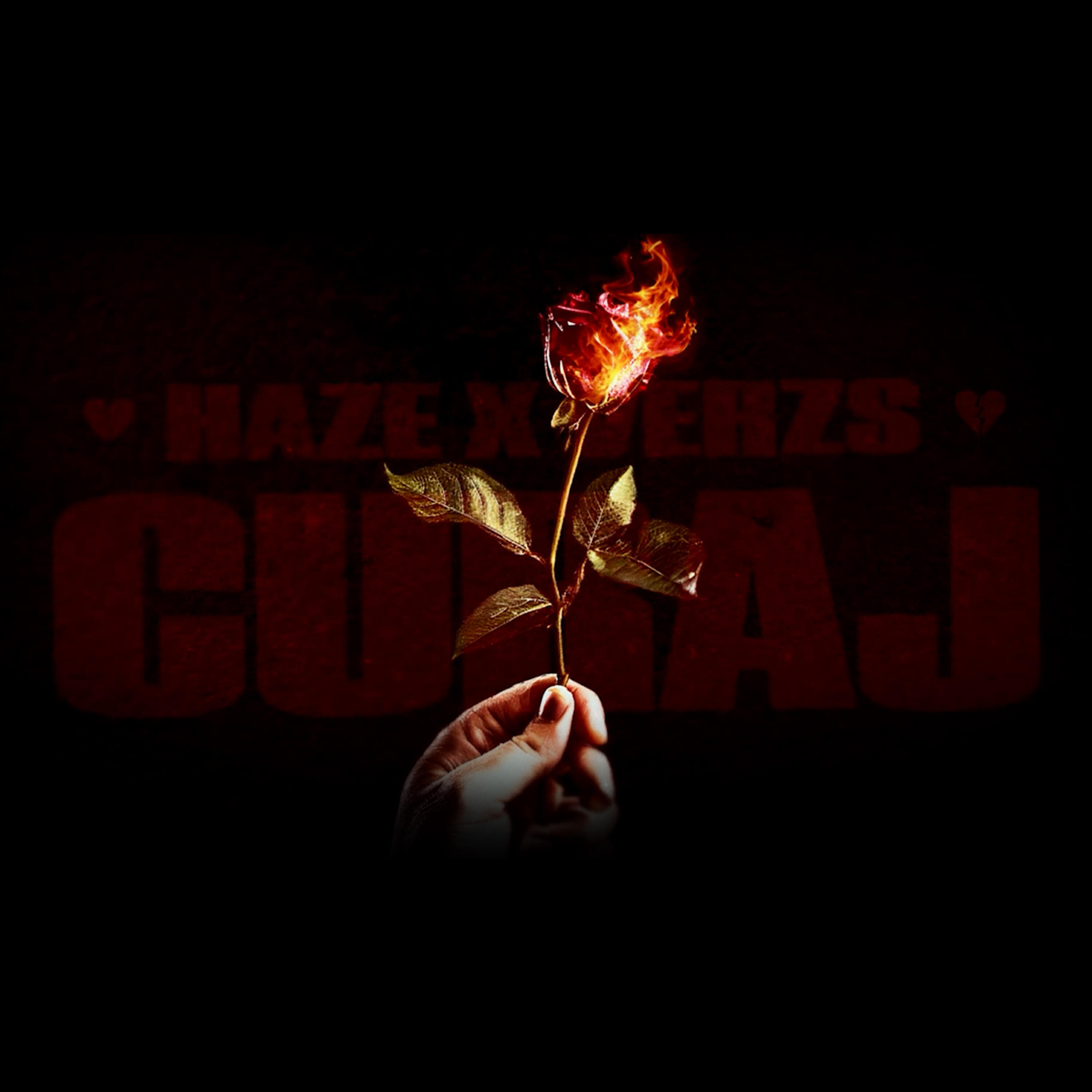 Релиз Curaj