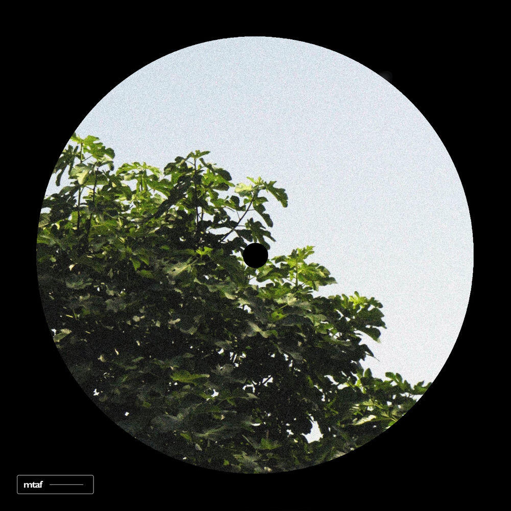 Релиз Sunshine