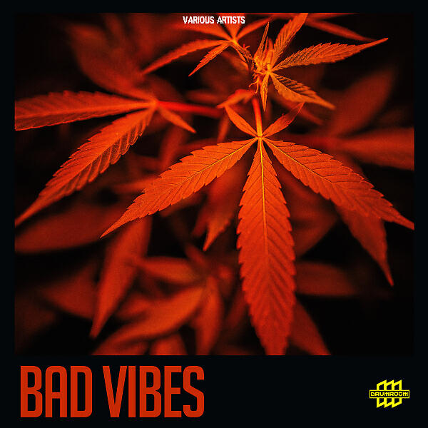 Релиз Bad Vibes