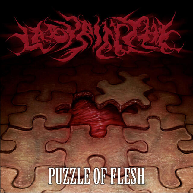 Релиз Flesh Fixation - Single