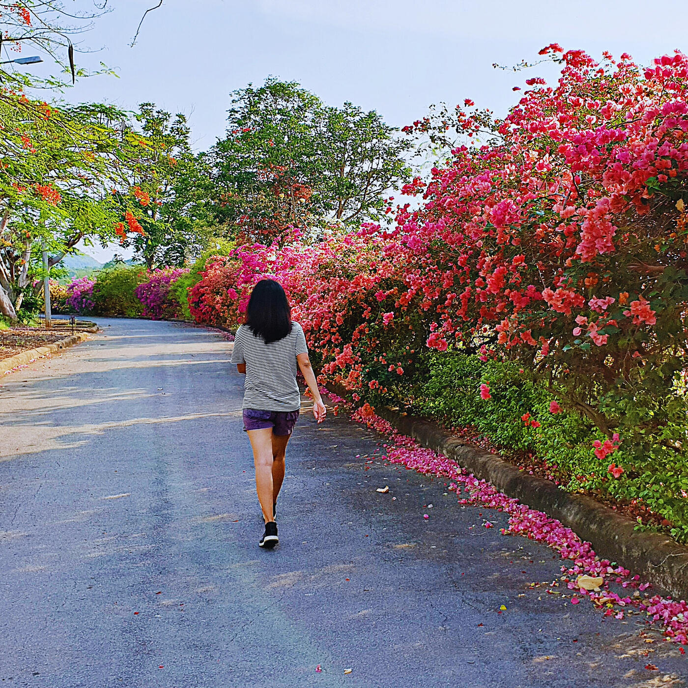 Релиз Morning Walk