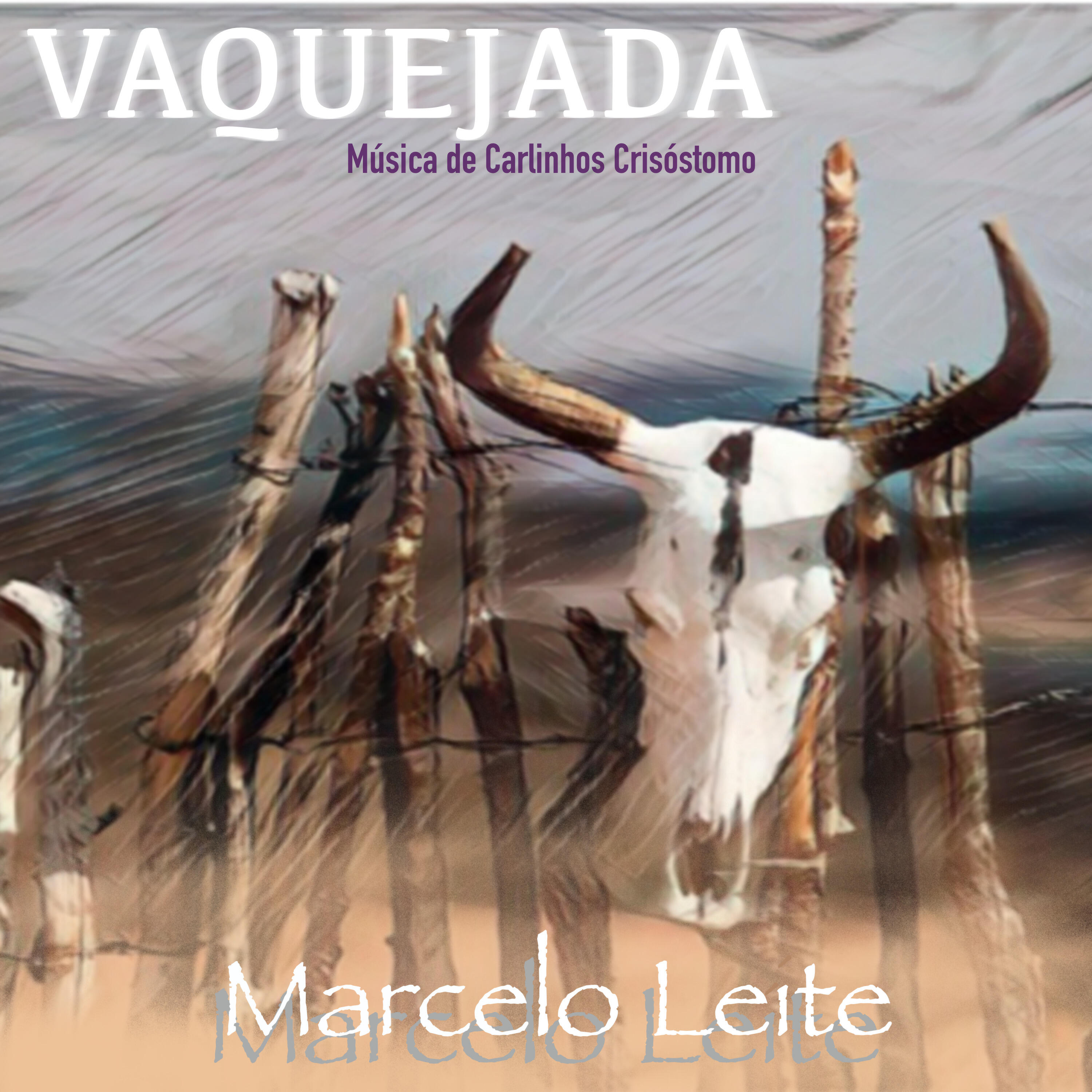 Carlinhos Crisóstomo