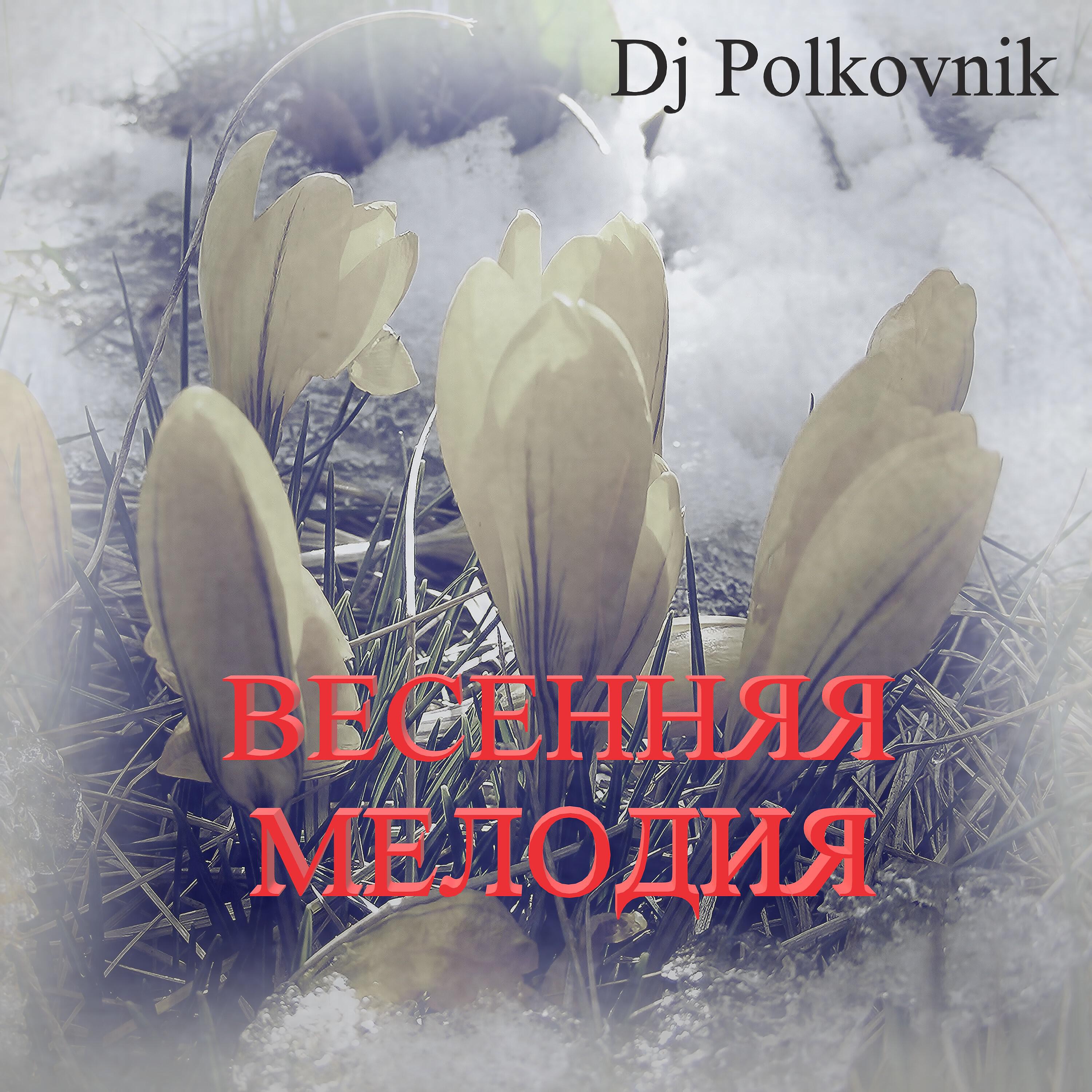 Постер альбома Весенняя мелодия