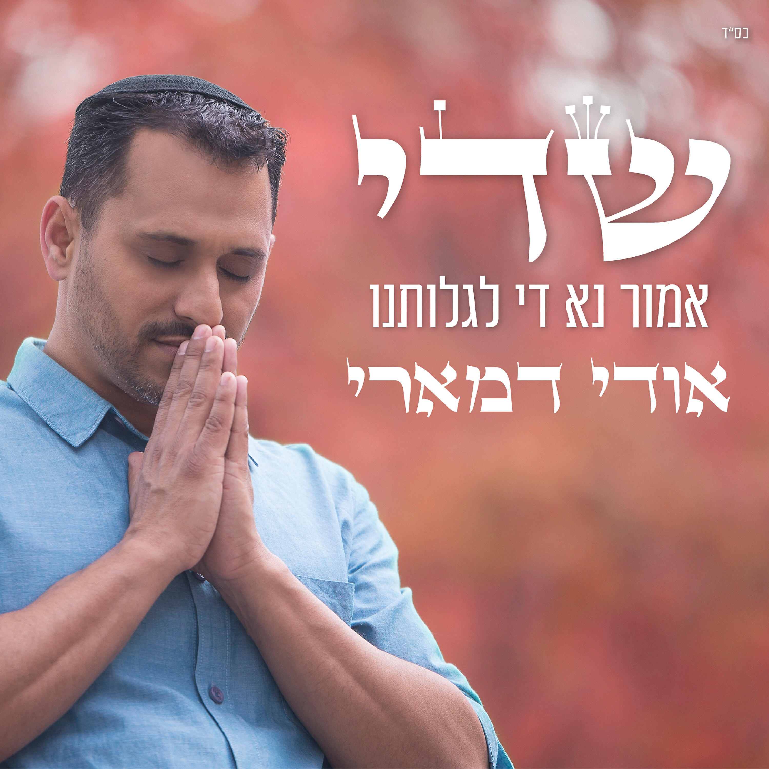 Релиз שדי