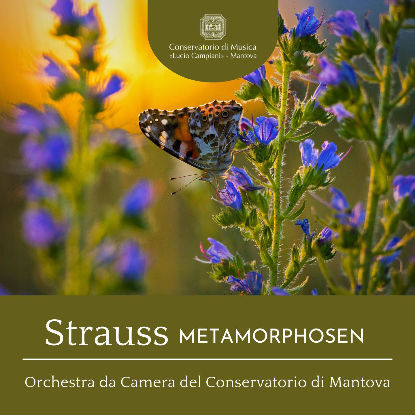 Релиз Strauss: Metamorphosen, TrV 290