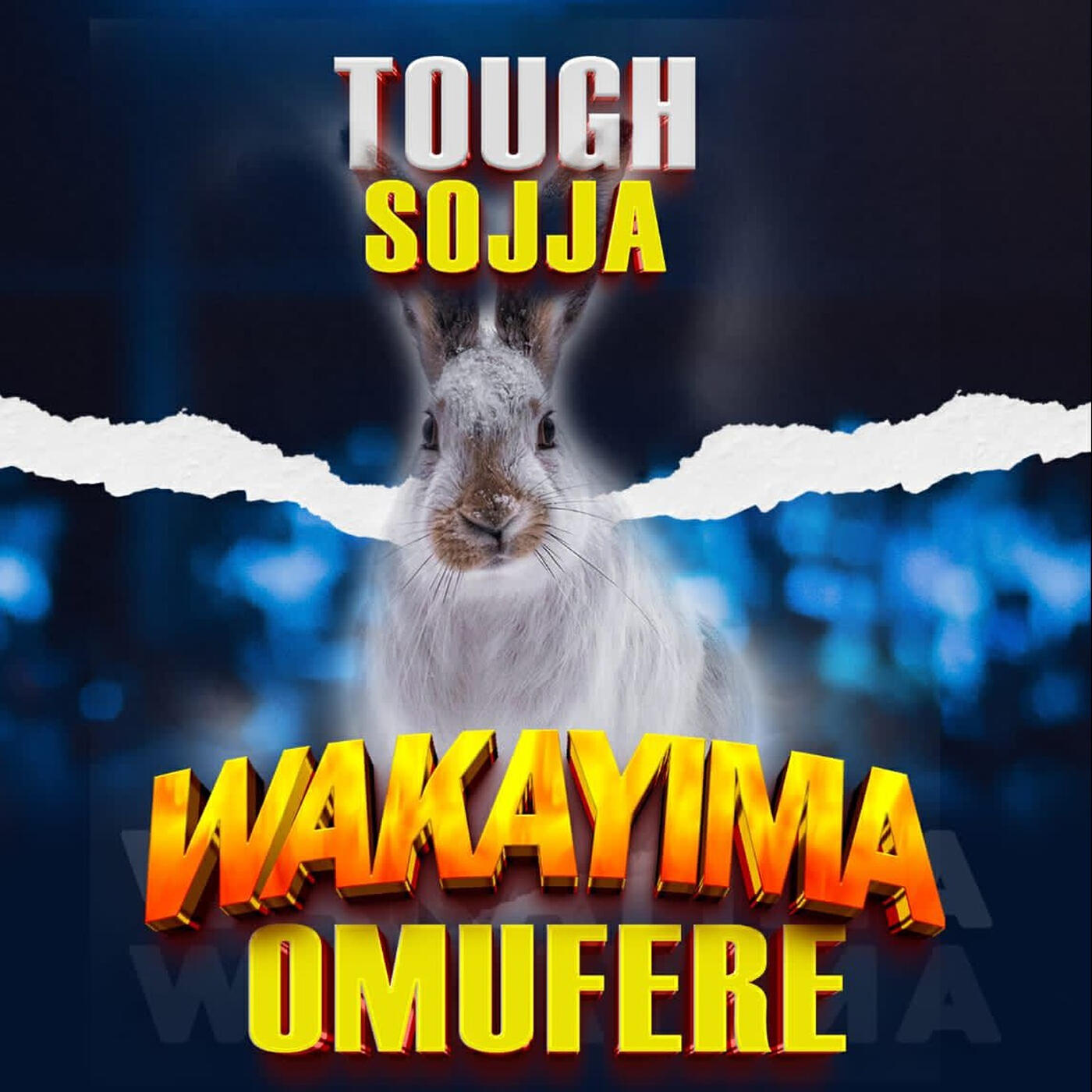 Релиз Wakayima Omufere