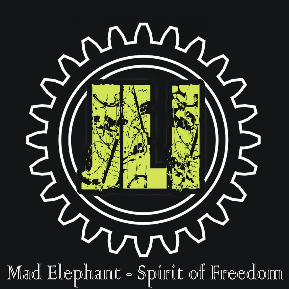 Релиз Spirit of Freedom