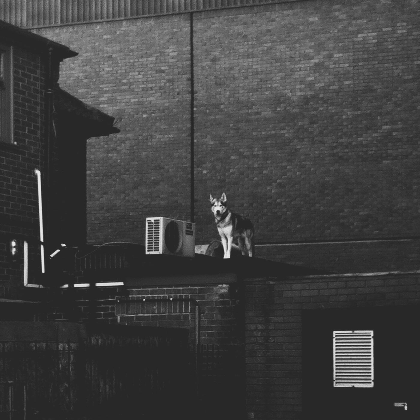 Релиз Stoic EP