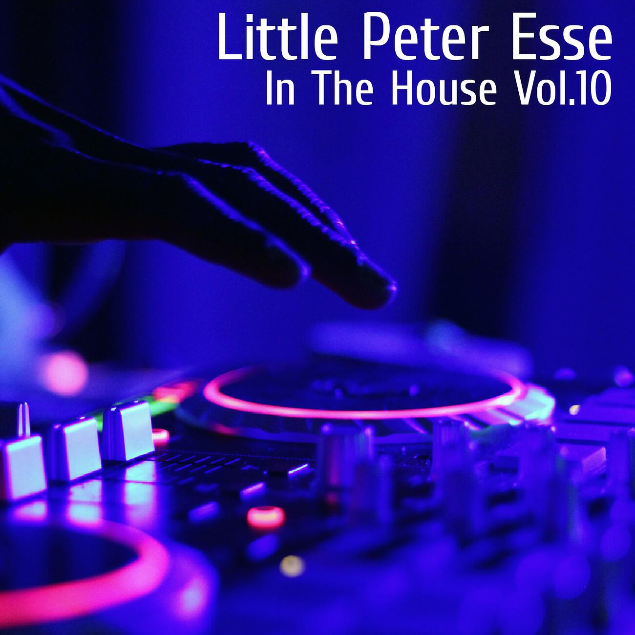 Релиз In The House Vol.10