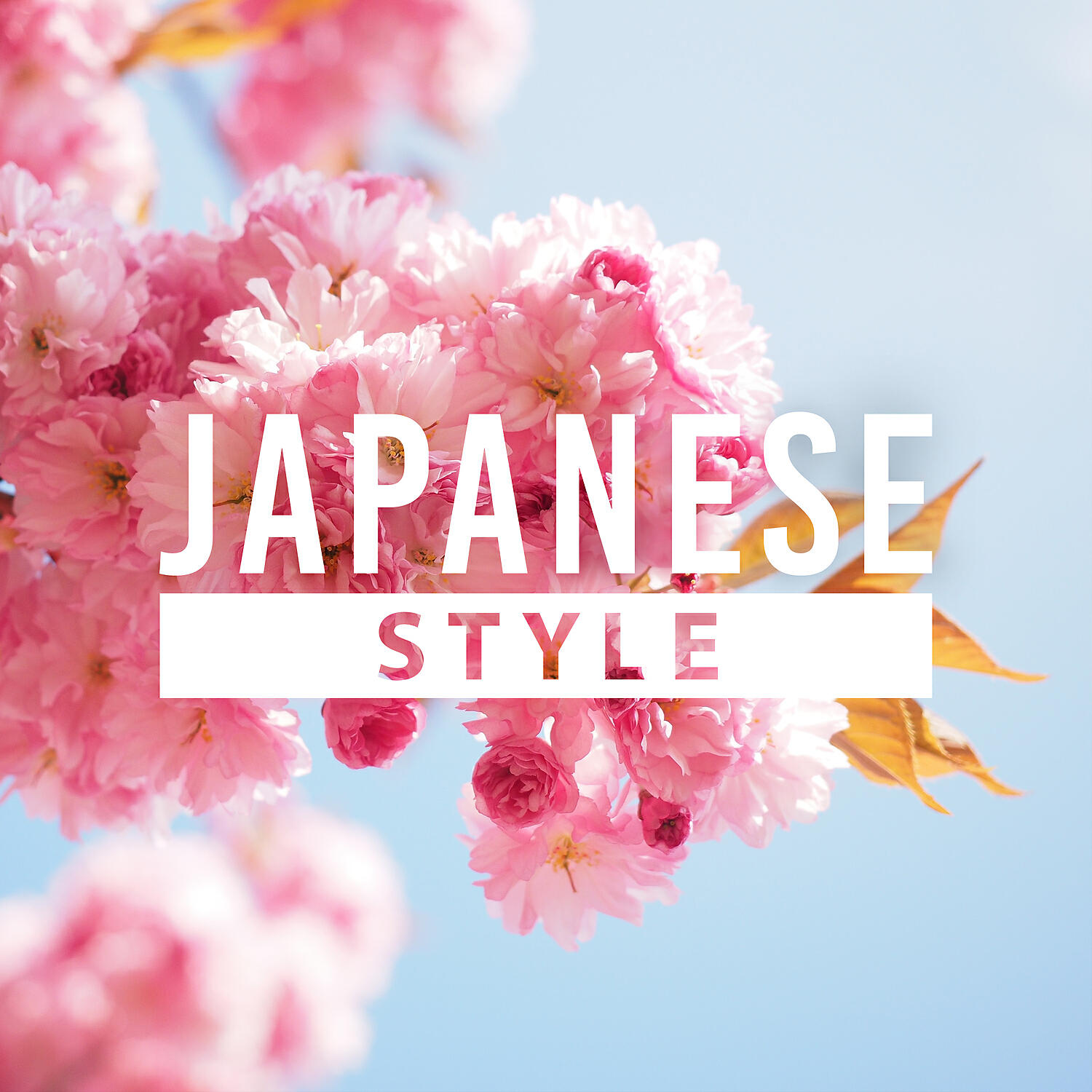 Релиз Japanese Style – Green Garden, Stones with Gravel, Coniferous Trees, Calmness, Tranquility