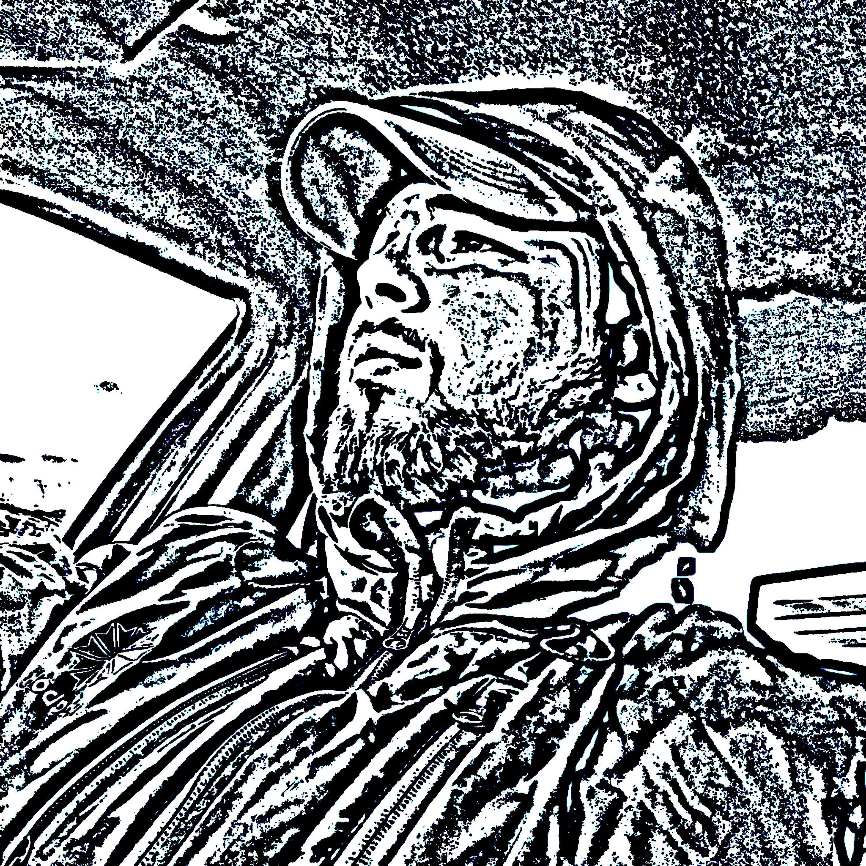 Постер альбома ДИКИЙ РЁВ