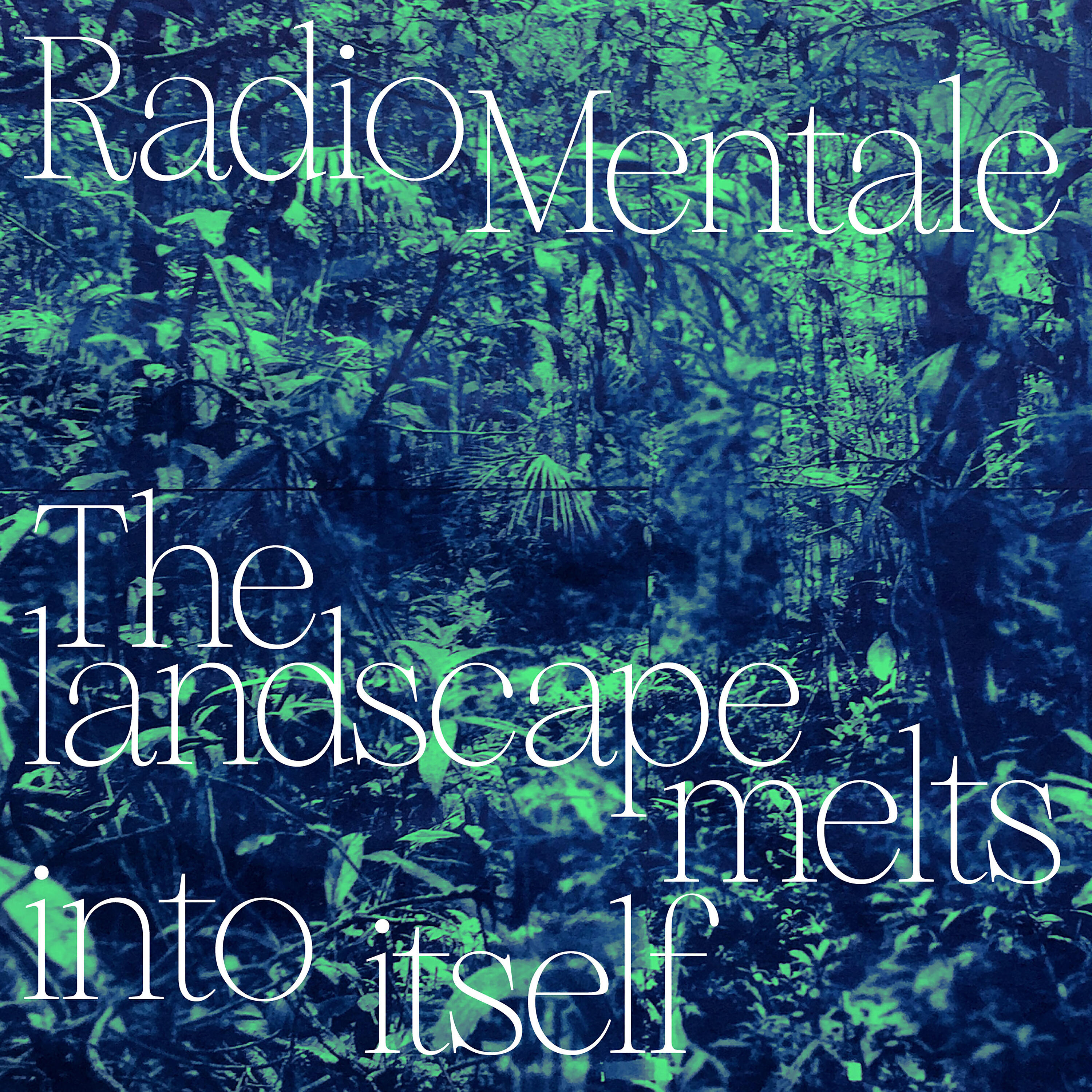Релиз The Landscape Melts into Itself