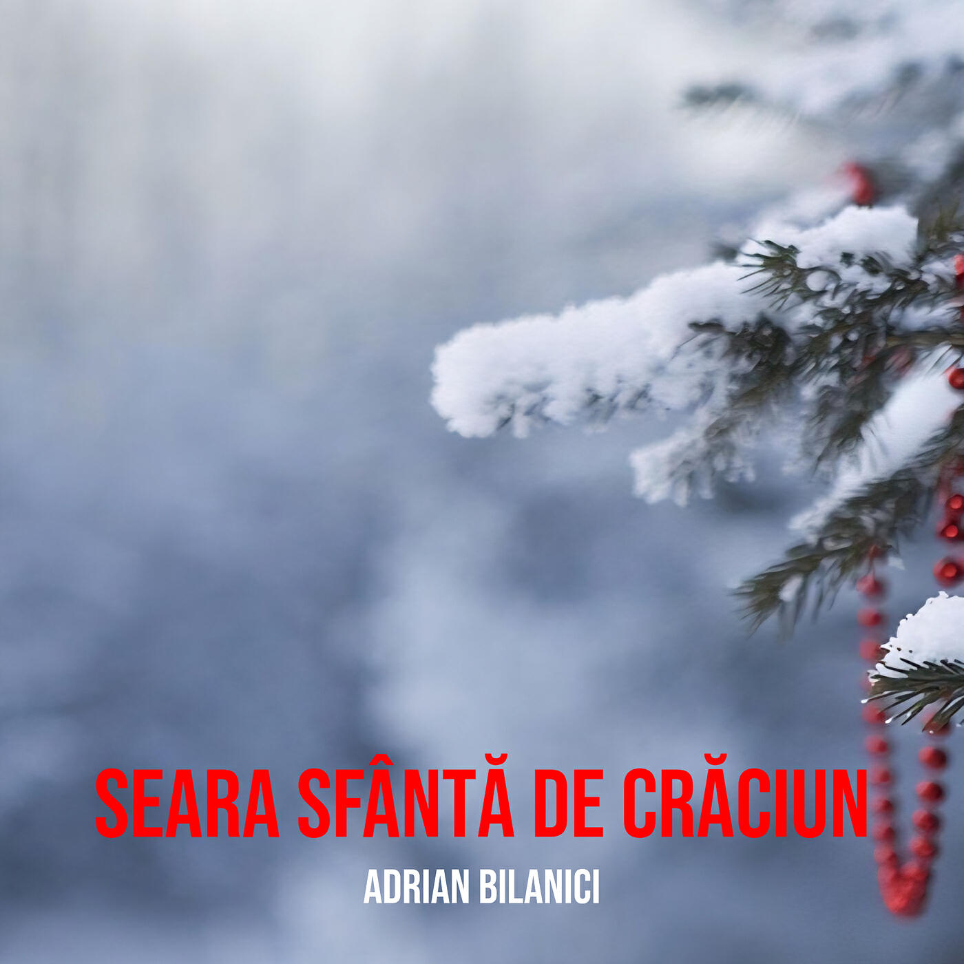 Adrian Bilanici