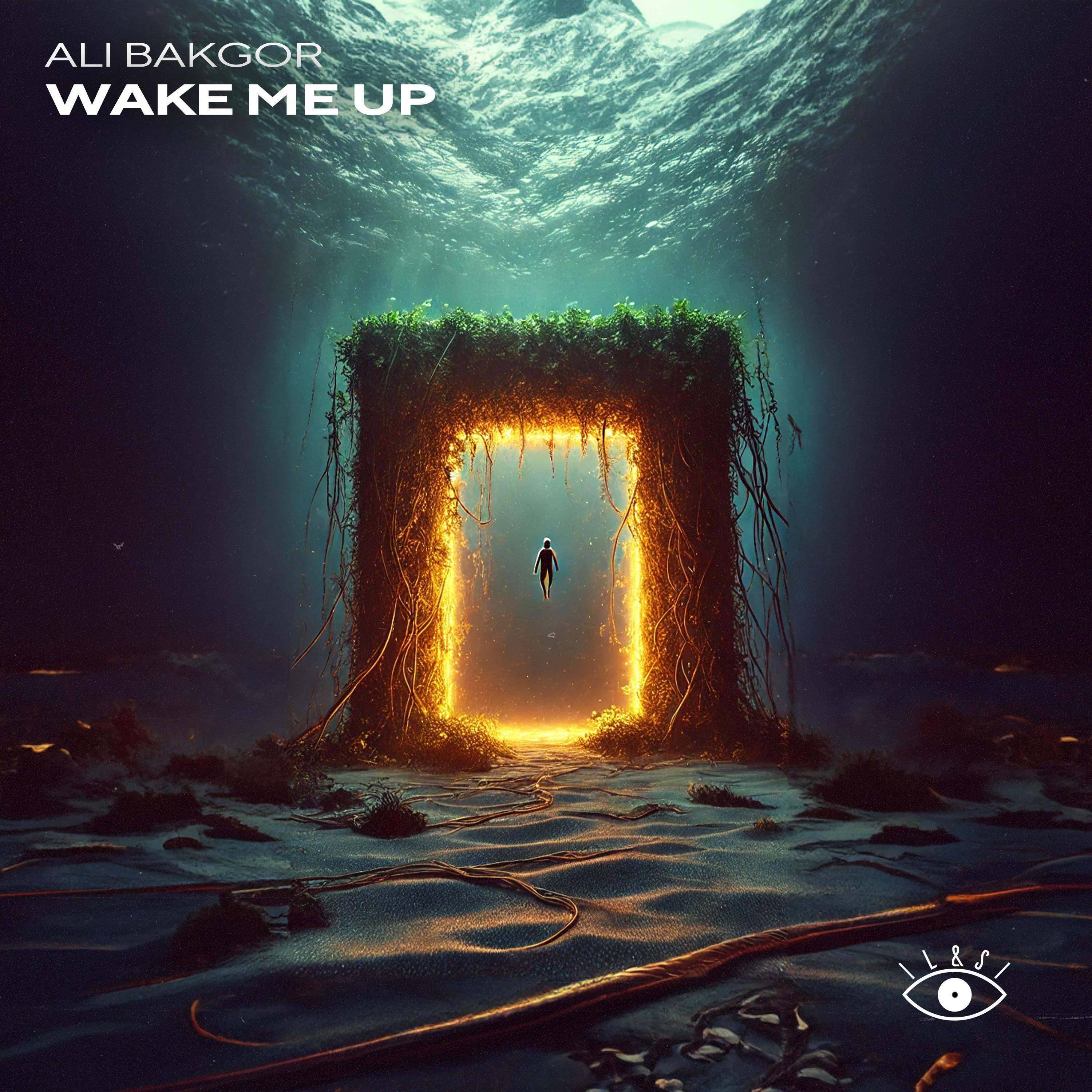 Релиз Wake Me Up (ALEV & onebit. Remix)