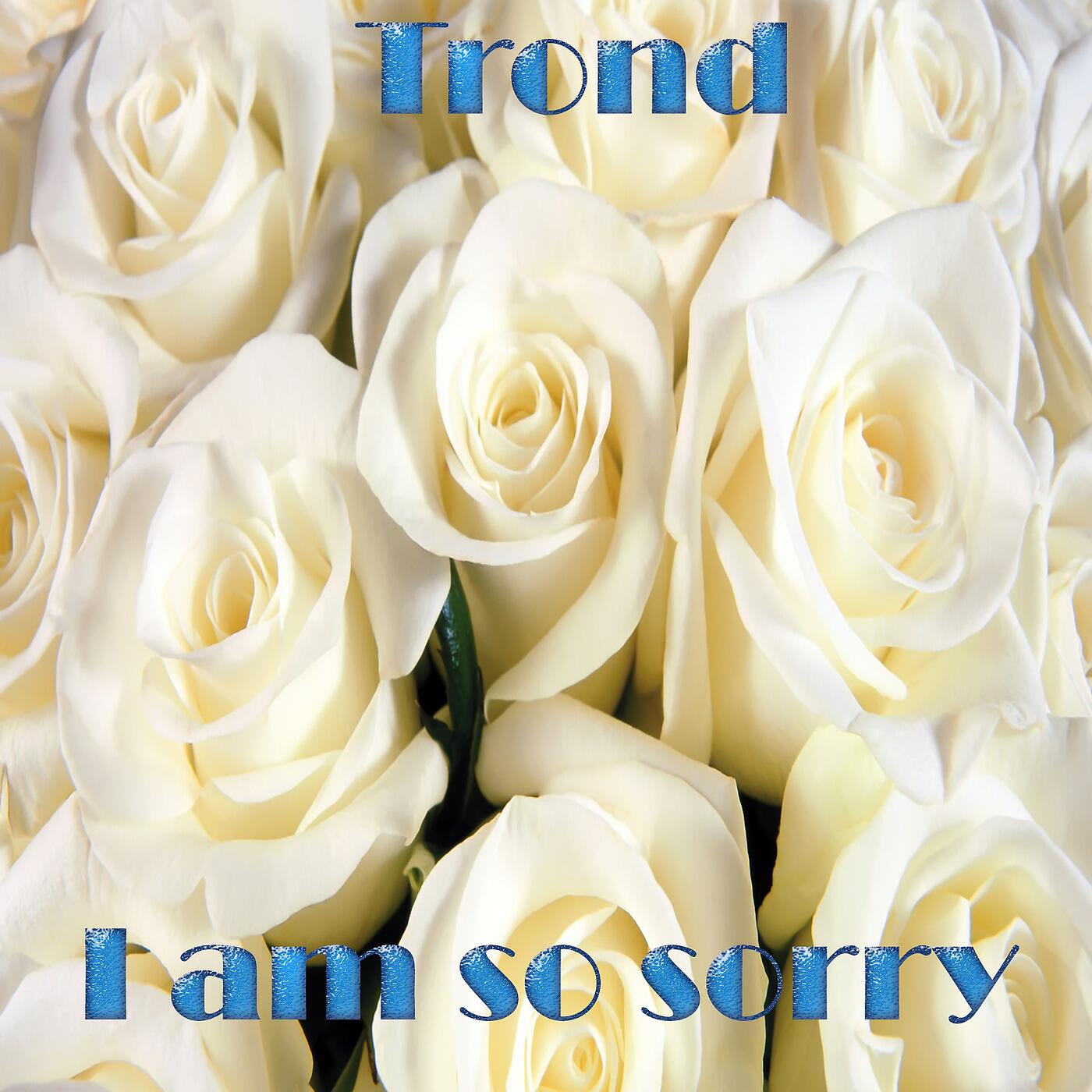 Релиз I Am so Sorry