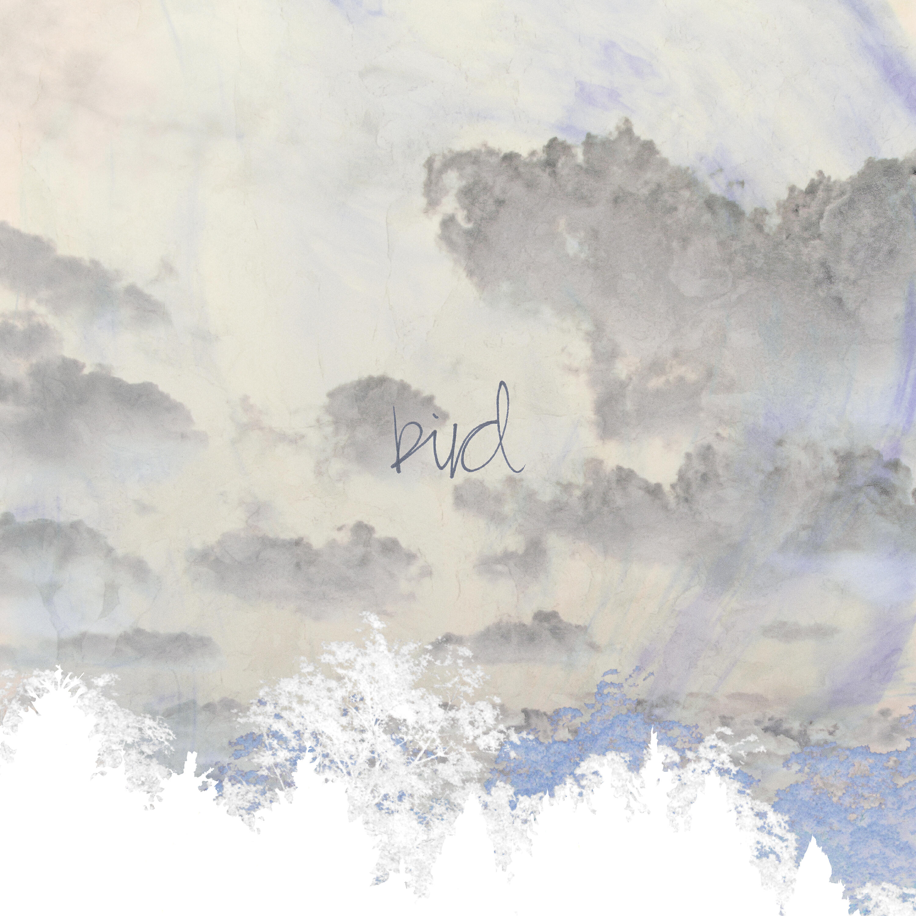 Релиз Bird