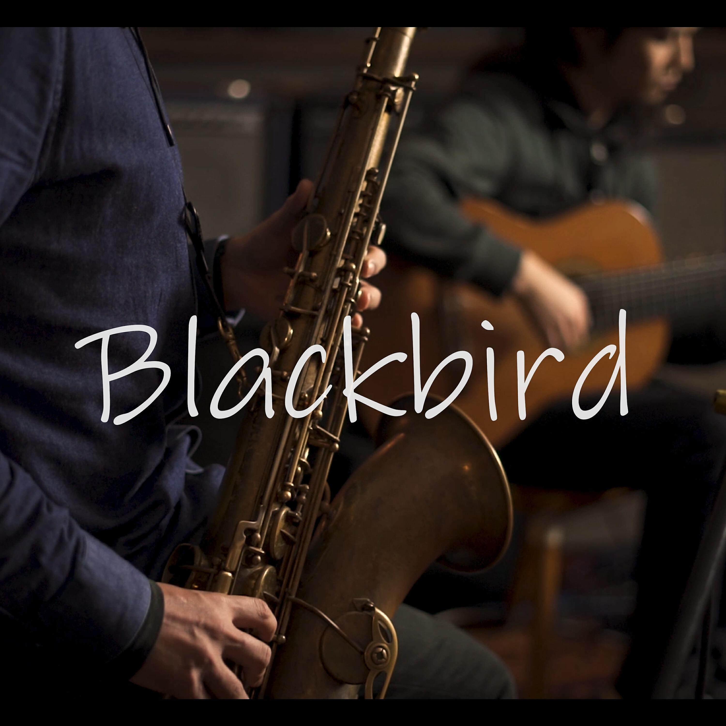 Релиз Blackbird