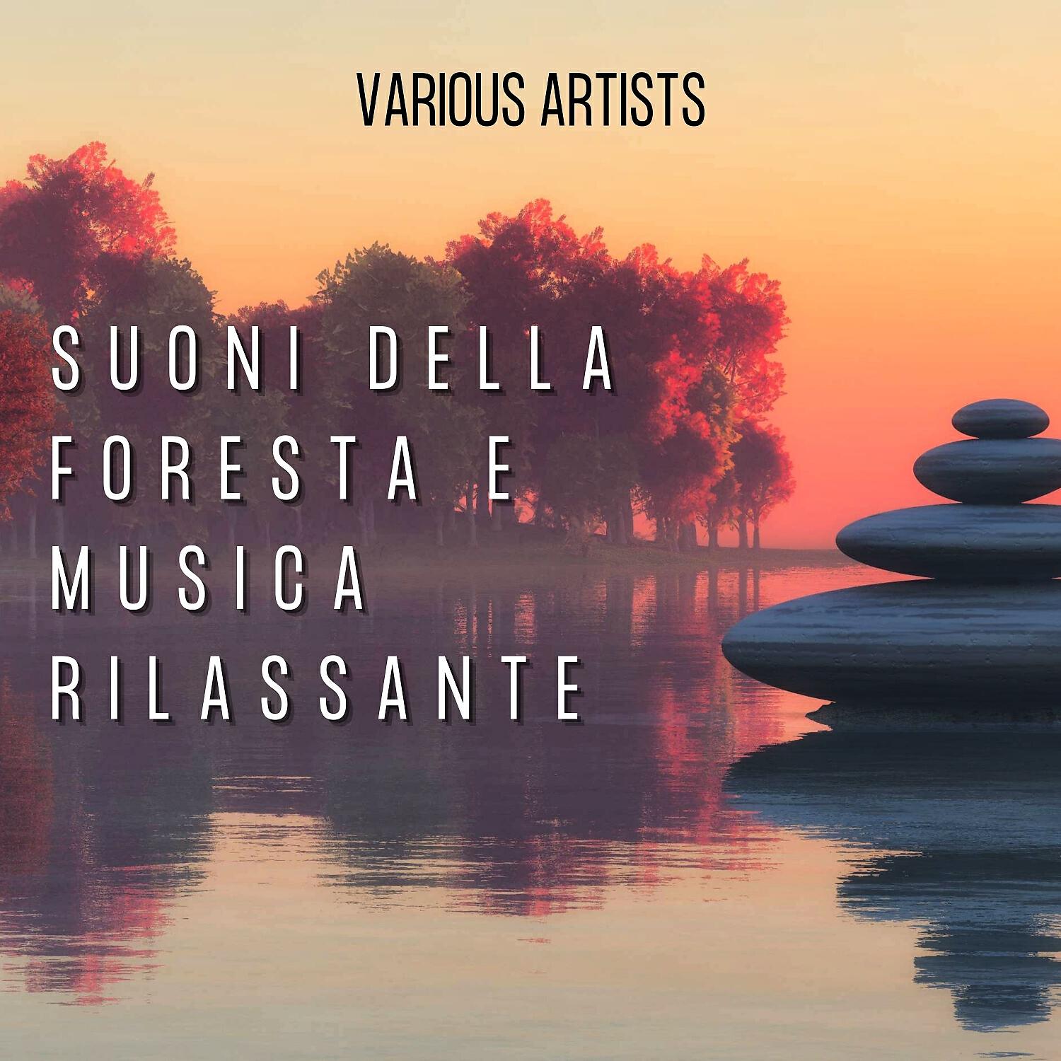 Релиз Suoni della foresta e musica rilassante