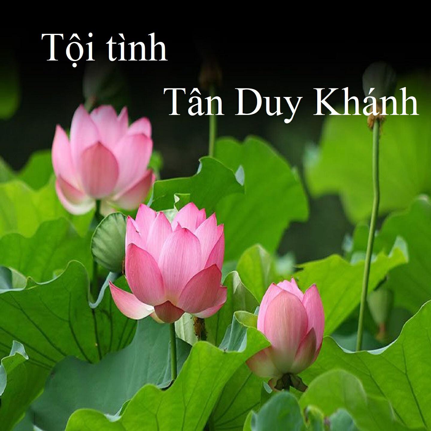 Tân Duy Khánh