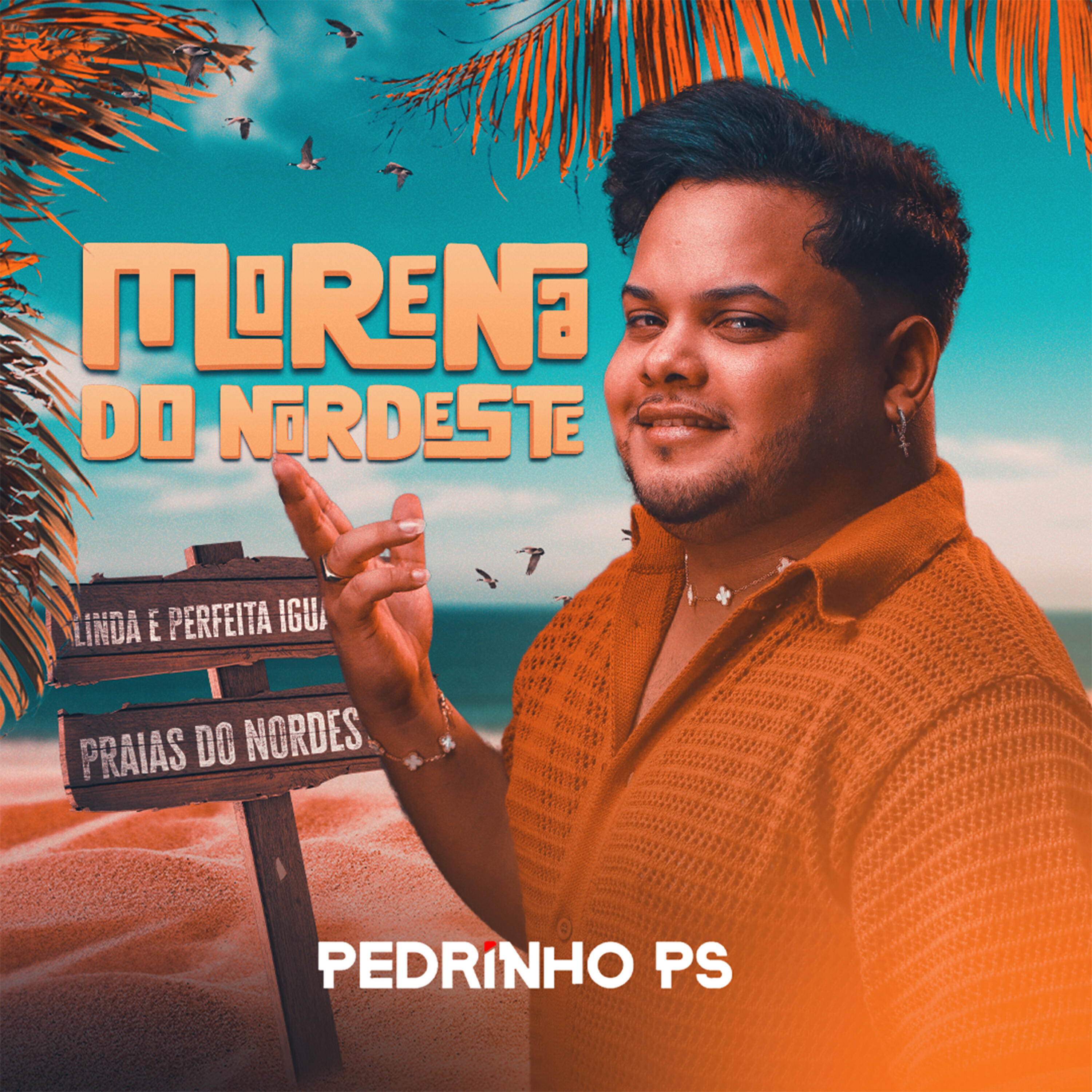 Релиз Morena do Nordeste