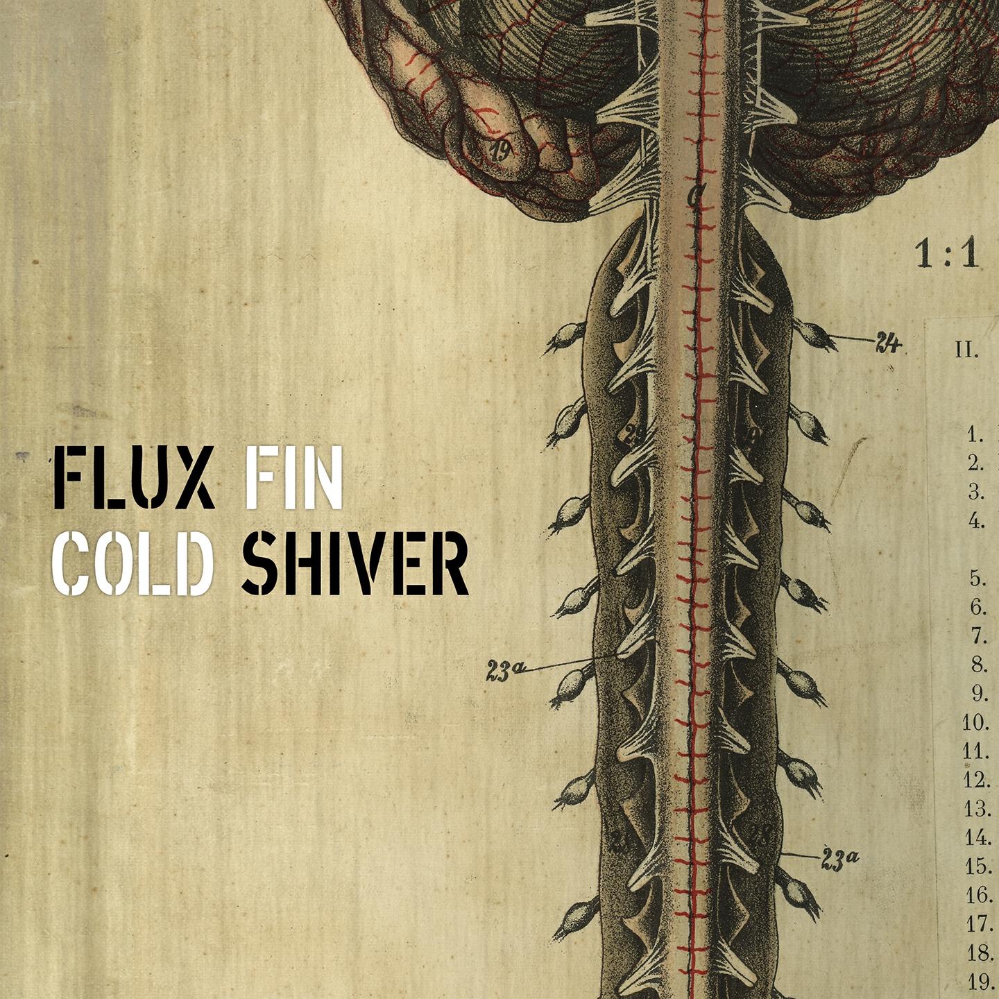 Релиз Cold Shiver