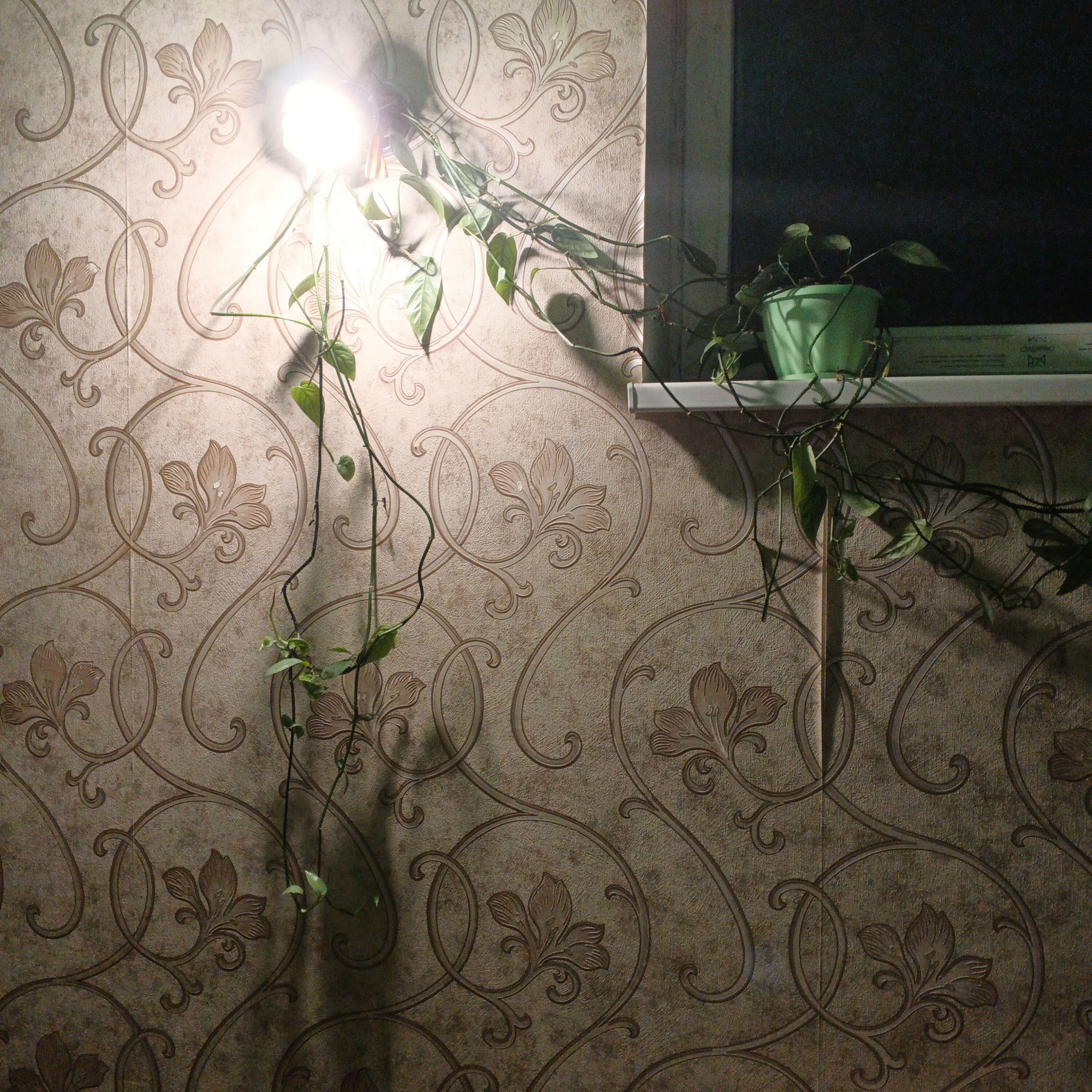 Релиз О любви