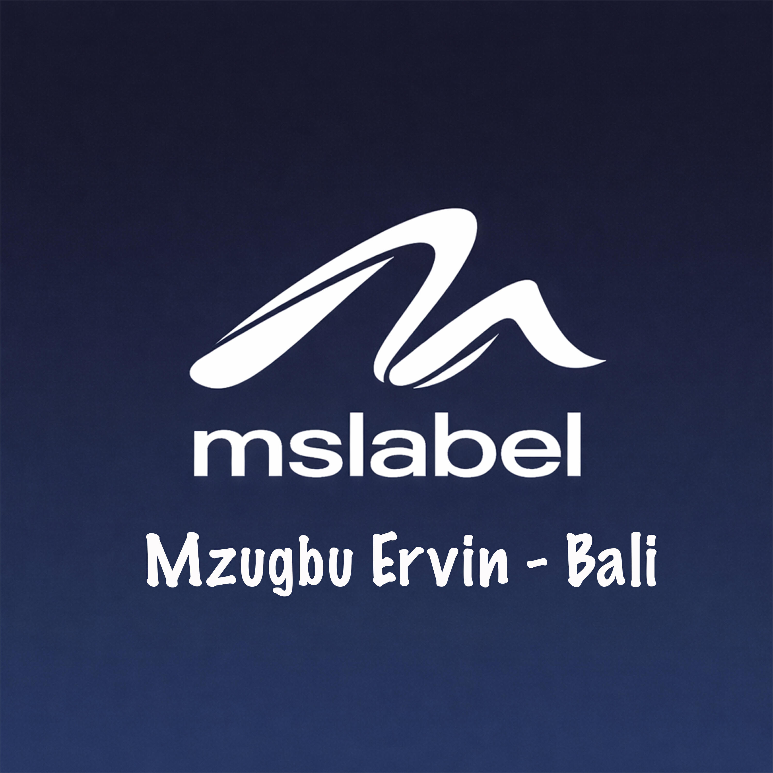 Релиз Bali