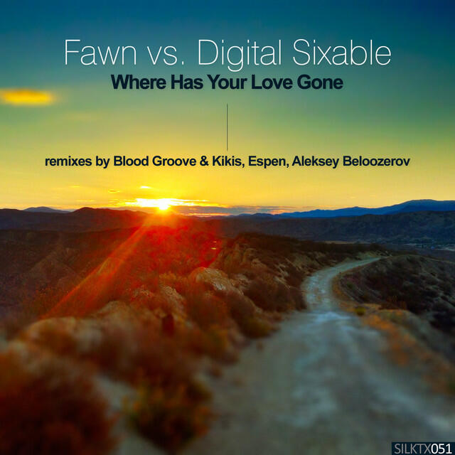 Релиз Where Has Your Love Gone (Remixes)