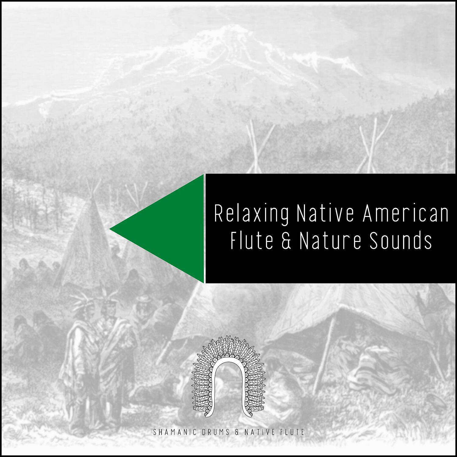 Релиз Relaxing Native American Flute & Nature Sounds