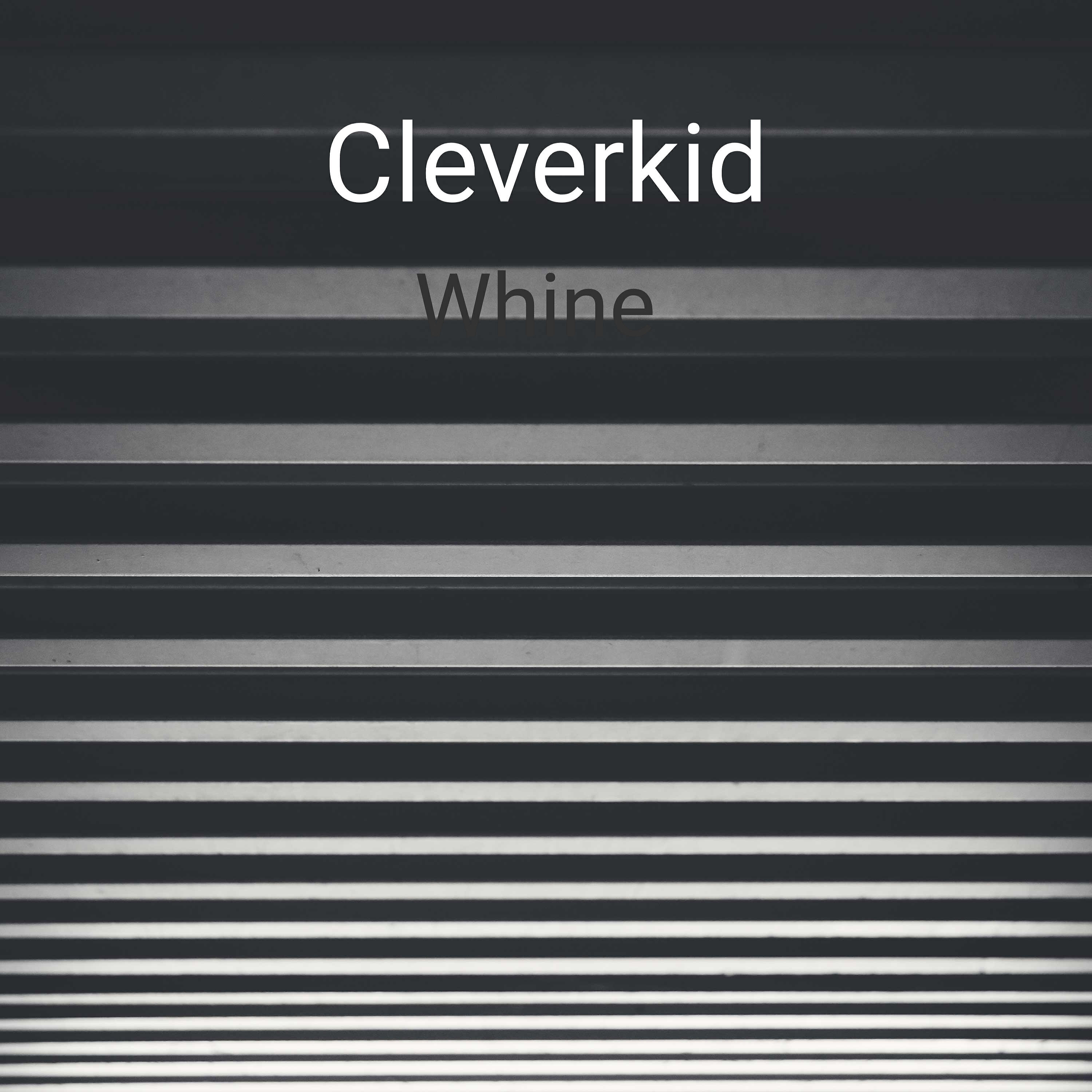 Cleverkid