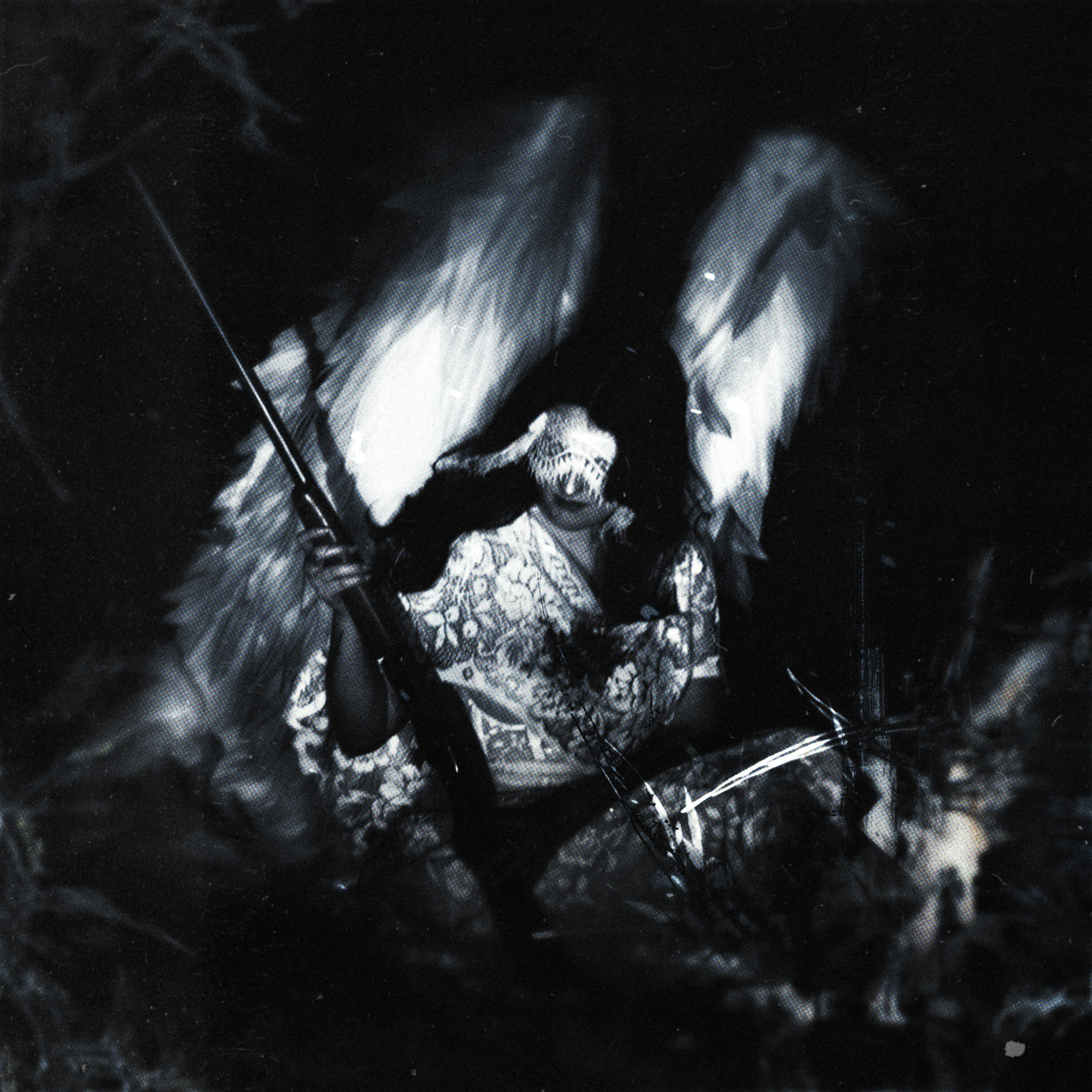 Релиз wwwings