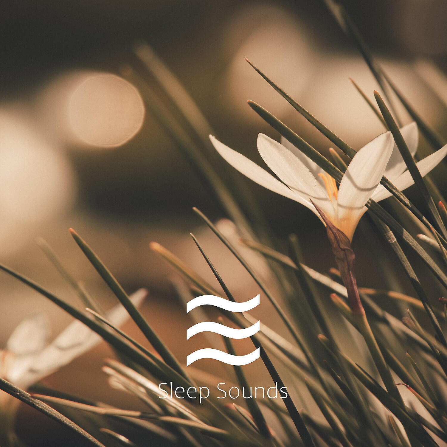 Релиз Baby Sleep Rain Sound Spring Collection