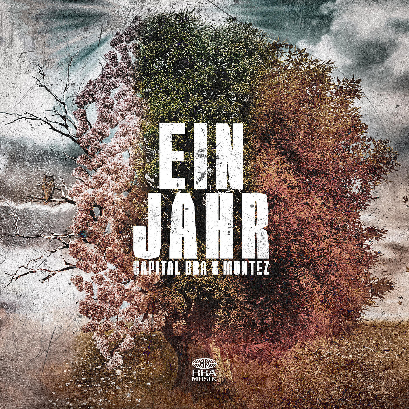 Релиз Ein Jahr