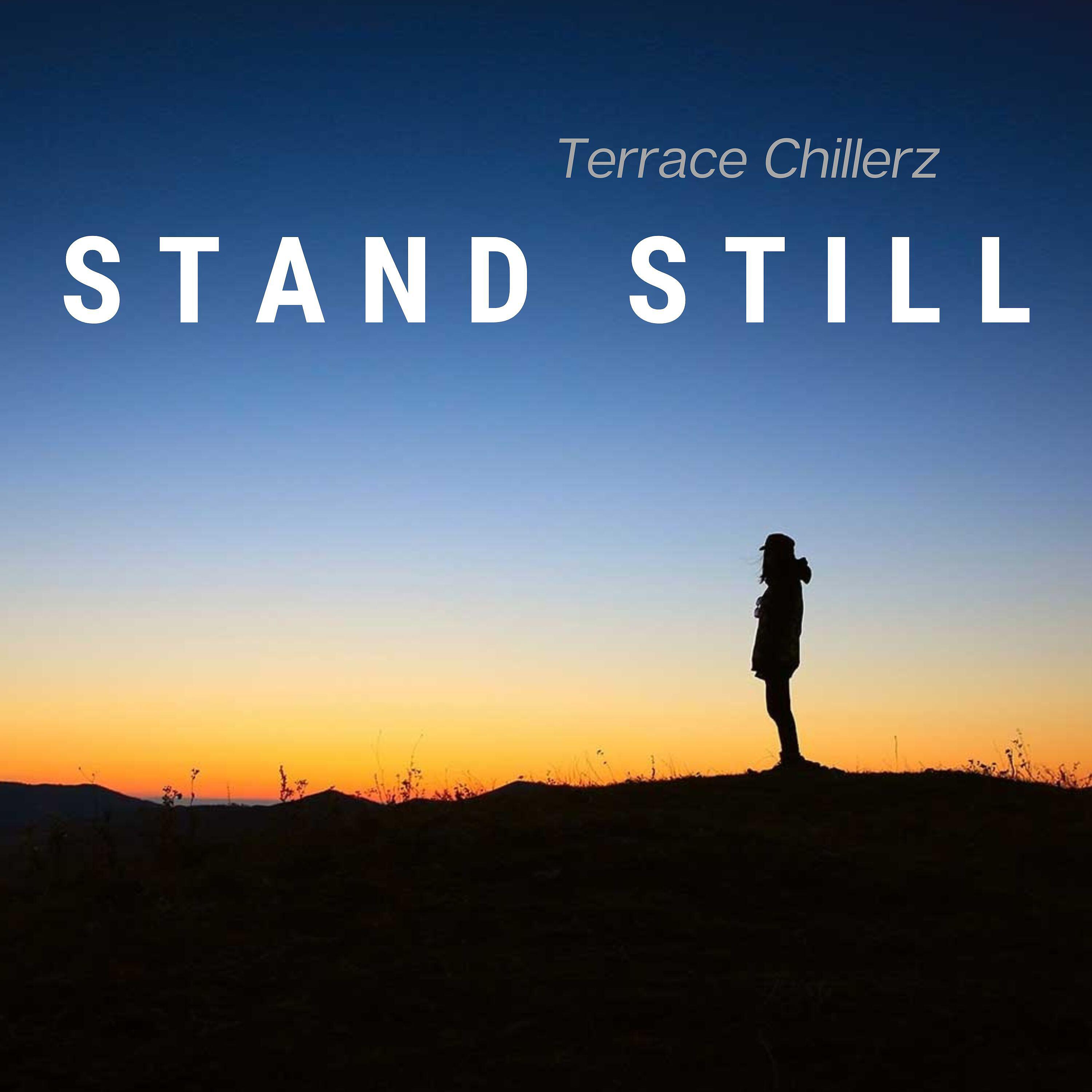 Релиз Stand Still