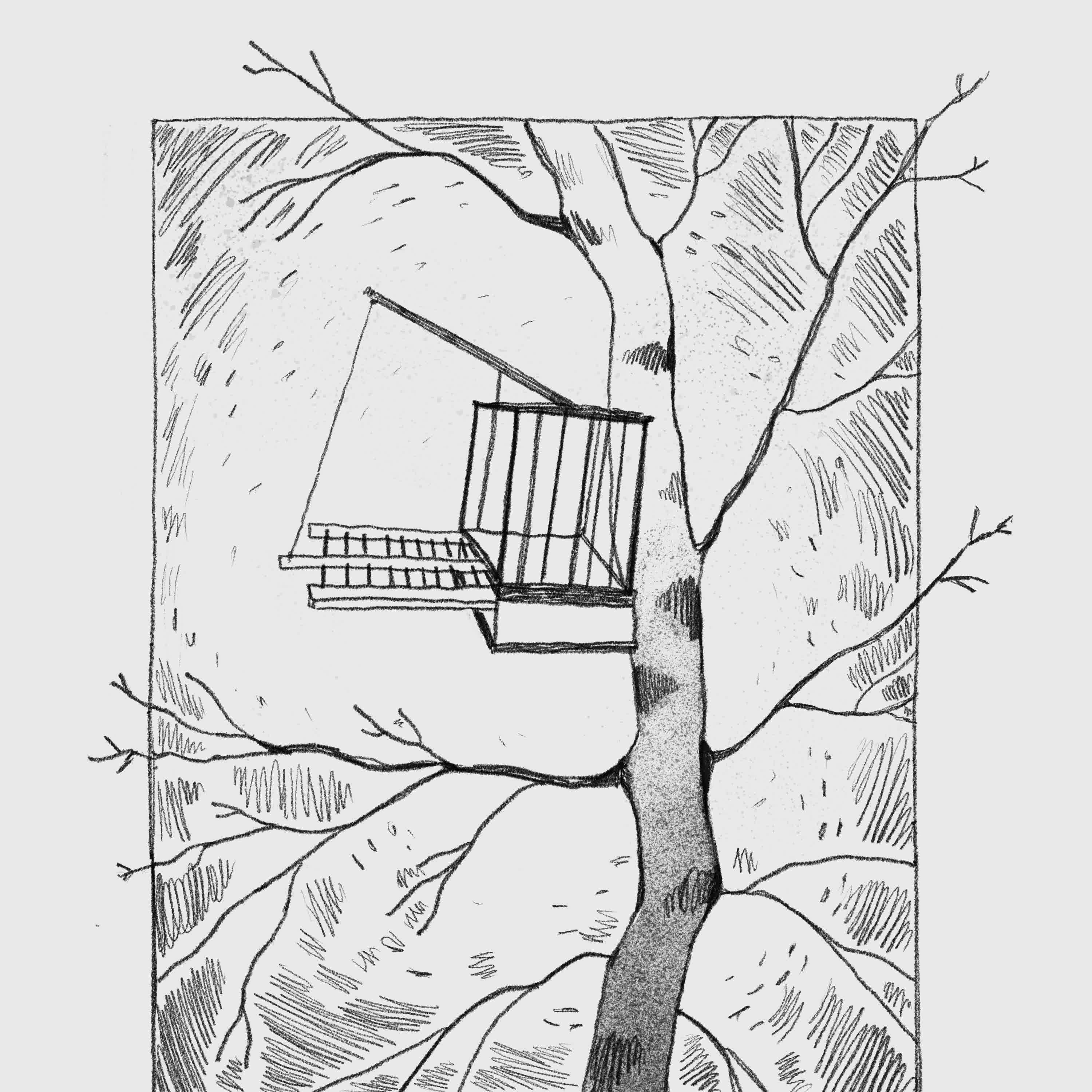 Релиз птиц