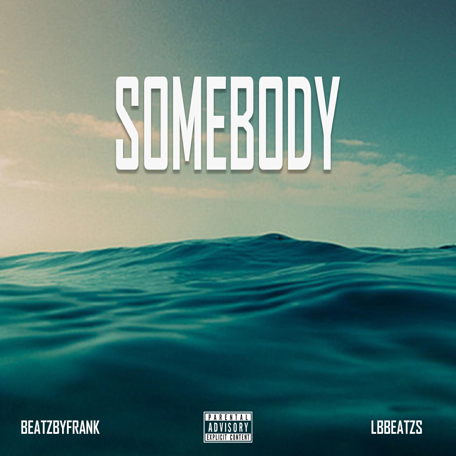 Постер альбома Somebody