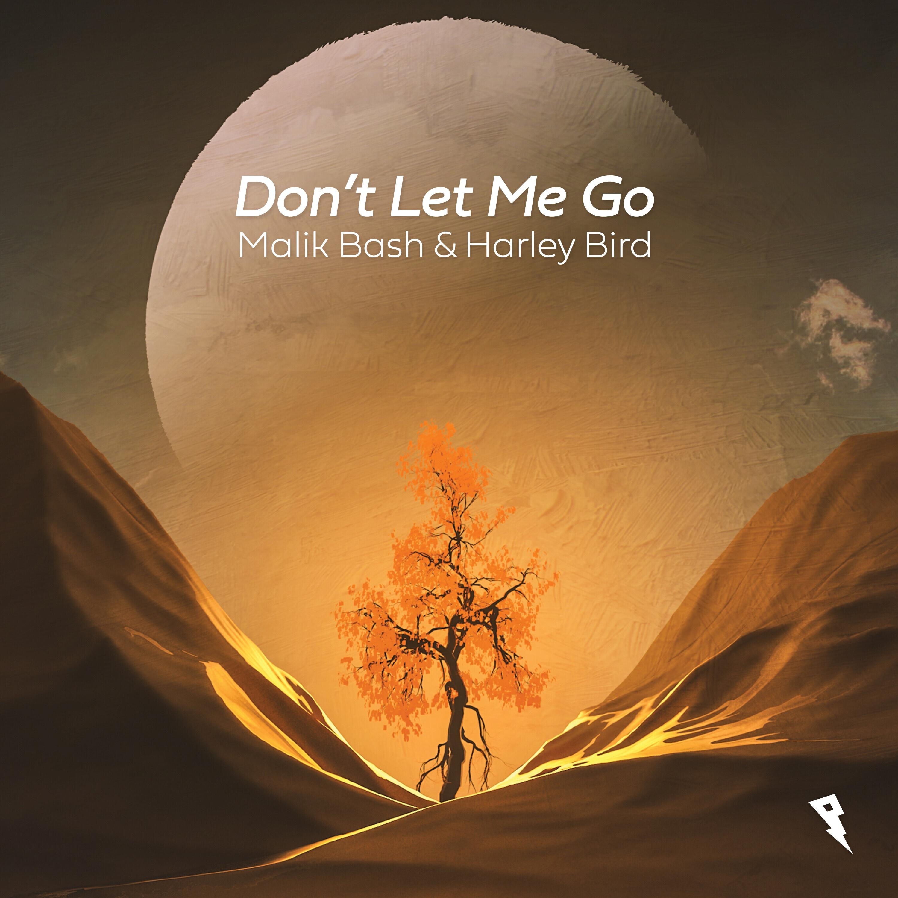 Релиз Don't Let Me Go