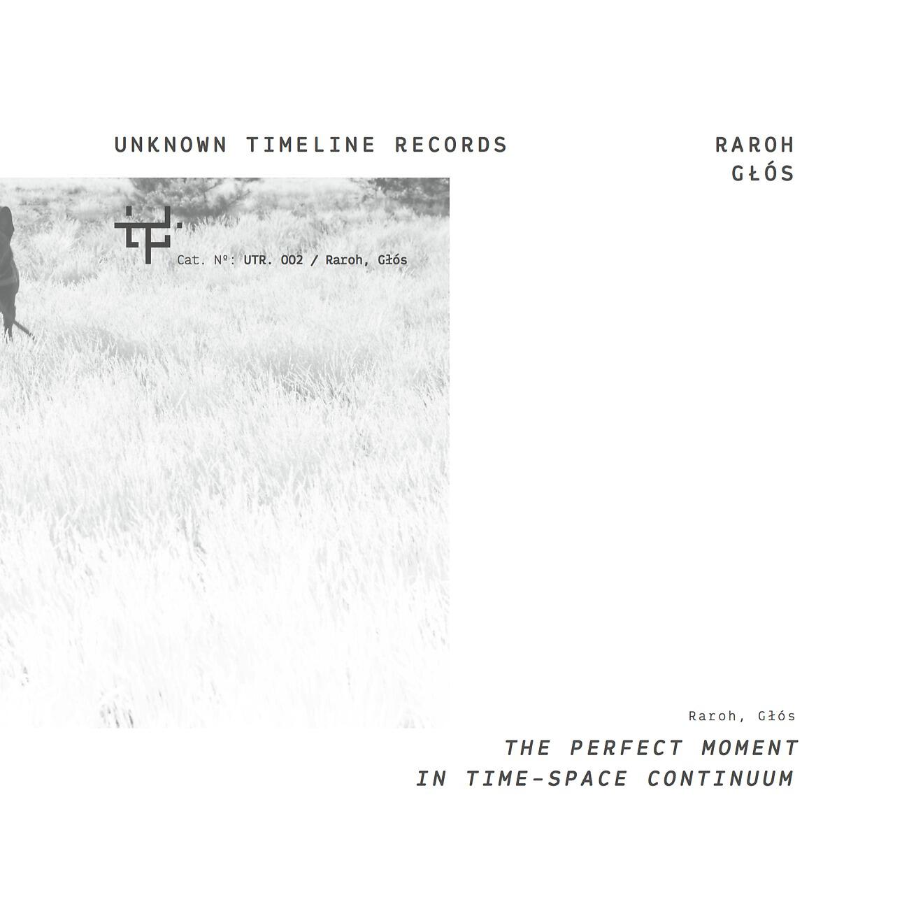 Релиз The Perfect Moment In Time-Space Continuum