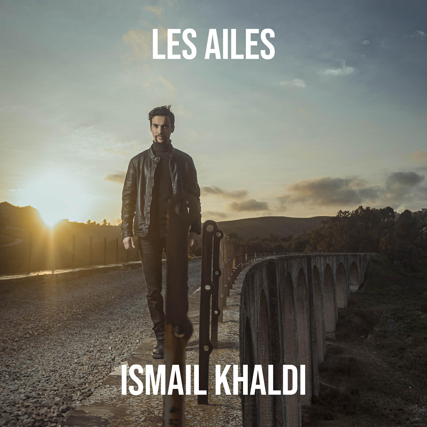 Релиз Les Ailes
