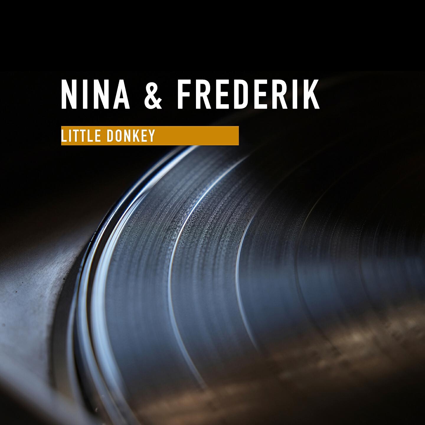 Релиз Little Donkey